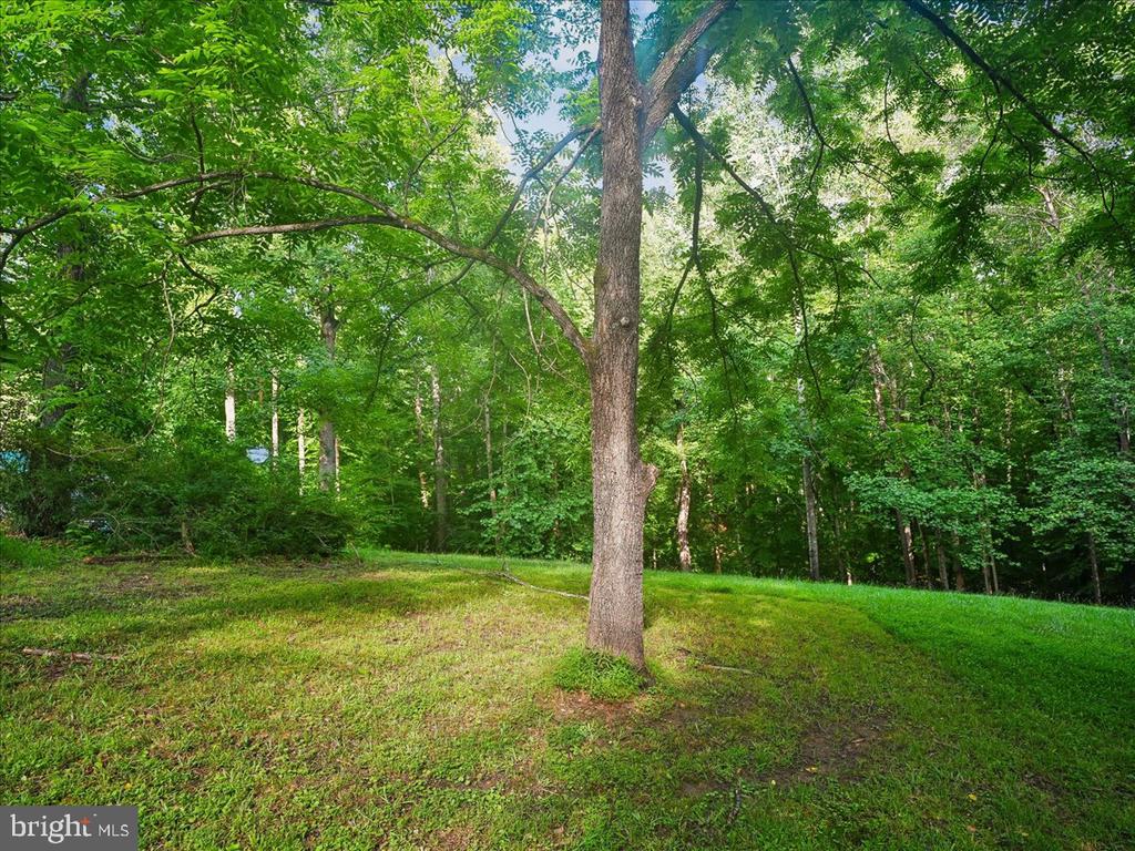 9935 HIGHLAND DR, MARSHALL, Virginia 20115, 4 Bedrooms Bedrooms, ,4 BathroomsBathrooms,Residential,9935 HIGHLAND DR,VAFQ2020520 MLS # VAFQ2020520 9935 HIGHLAND DR, MARSHALL, Virginia 20115, 4 Bedrooms Bedrooms, ,4 BathroomsBathrooms,Residential,9935 HIGHLAND DR,VAFQ2020520 MLS # VAFQ2020520