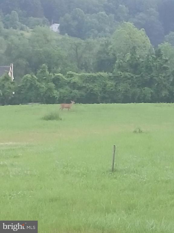 5201 CAROLYNS WAY, LINDEN, Virginia 22642, 3 Bedrooms Bedrooms, ,3 BathroomsBathrooms,Residential,5201 CAROLYNS WAY,VAFQ2022400 MLS # VAFQ2022400