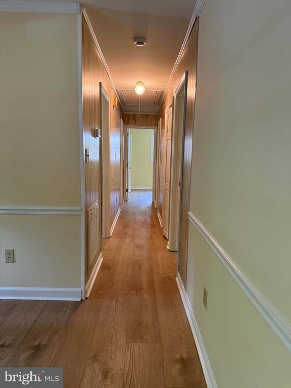 305 SPOTSLEE DR, SPOTSYLVANIA, Virginia 22551, 3 Bedrooms Bedrooms, ,2 BathroomsBathrooms,Residential,305 SPOTSLEE DR,VASP2042660 MLS # VASP2042660 305 SPOTSLEE DR, SPOTSYLVANIA, Virginia 22551, 3 Bedrooms Bedrooms, ,2 BathroomsBathrooms,Residential,305 SPOTSLEE DR,VASP2042660 MLS # VASP2042660