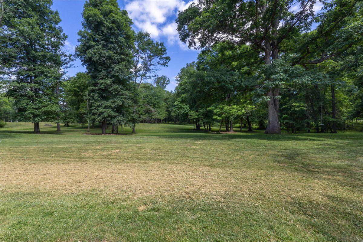 5202 CHASE LN, MIDLAND, Virginia 22728, 6 Bedrooms Bedrooms, ,5 BathroomsBathrooms,Residential,5202 CHASE LN,VAFQ2022460 MLS # VAFQ2022460 5202 CHASE LN, MIDLAND, Virginia 22728, 6 Bedrooms Bedrooms, ,5 BathroomsBathrooms,Residential,5202 CHASE LN,VAFQ2022460 MLS # VAFQ2022460