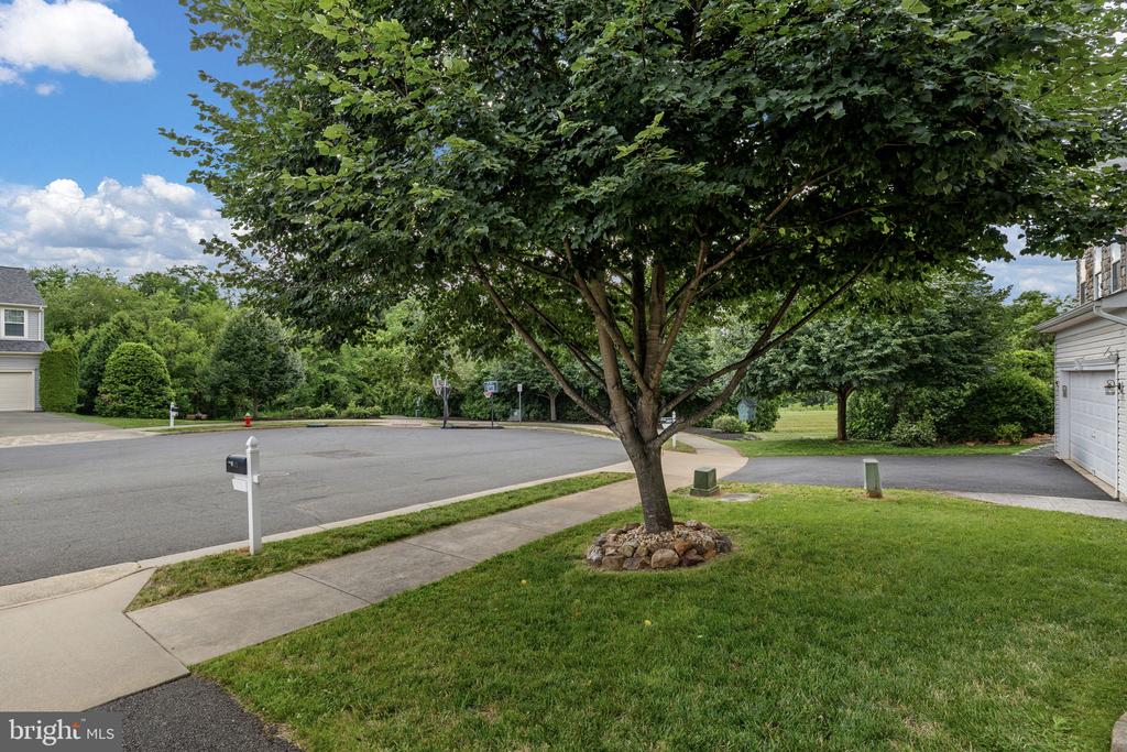 172 KING EDWARD CT, CULPEPER, Virginia 22701, 4 Bedrooms Bedrooms, ,2 BathroomsBathrooms,Residential,172 KING EDWARD CT,VACU2014022 MLS # VACU2014022