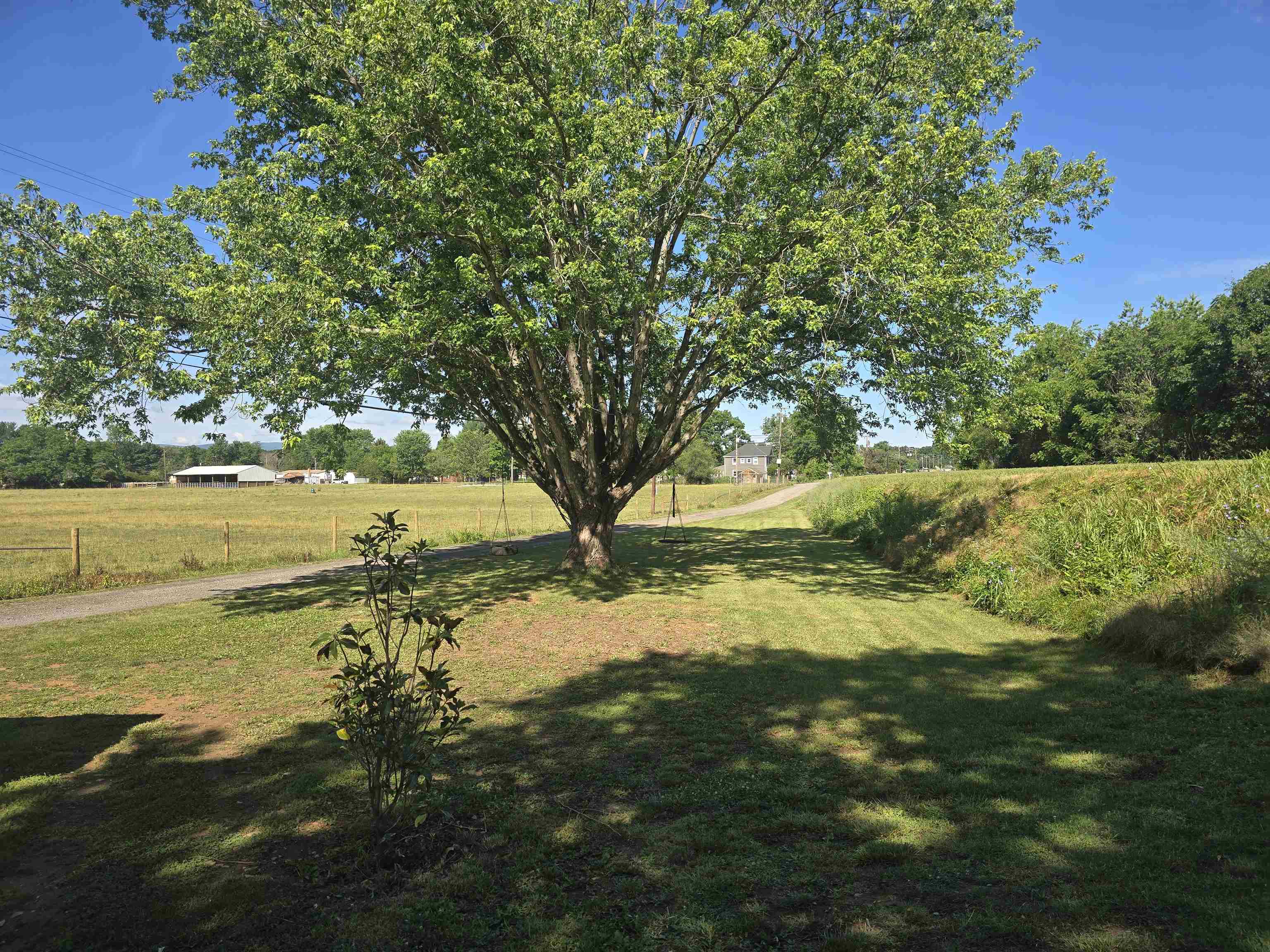 264 MT TORREY RD, LYNDHURST, Virginia 22952, 3 Bedrooms Bedrooms, ,2 BathroomsBathrooms,Residential,264 MT TORREY RD,678253 MLS # 678253 264 MT TORREY RD, LYNDHURST, Virginia 22952, 3 Bedrooms Bedrooms, ,2 BathroomsBathrooms,Residential,264 MT TORREY RD,678253 MLS # 678253