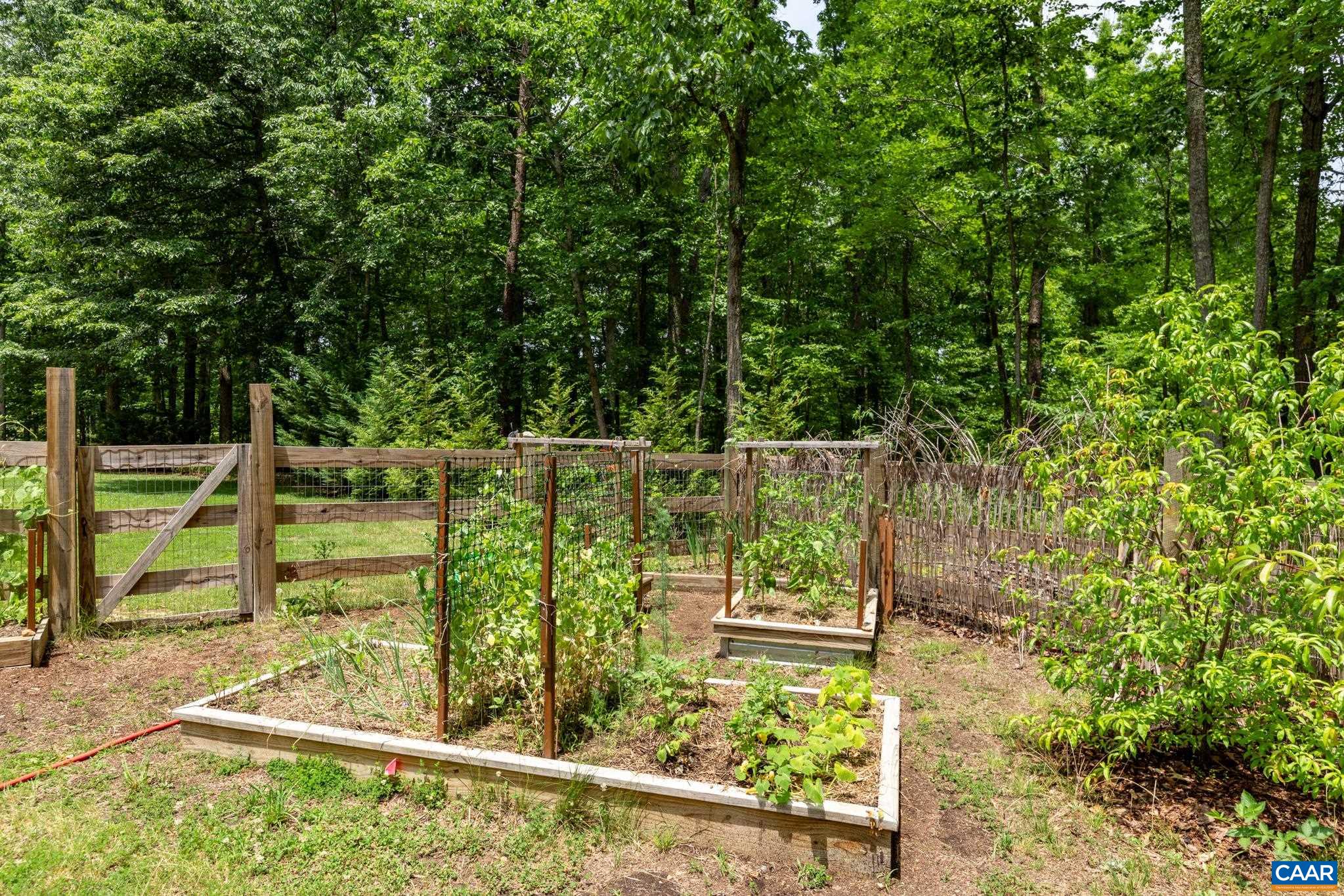 1356 KENTS MILL RD, LOUISA, Virginia 23093, 4 Bedrooms Bedrooms, ,2 BathroomsBathrooms,Residential,1356 KENTS MILL RD,678370 MLS # 678370 1356 KENTS MILL RD, LOUISA, Virginia 23093, 4 Bedrooms Bedrooms, ,2 BathroomsBathrooms,Residential,1356 KENTS MILL RD,678370 MLS # 678370