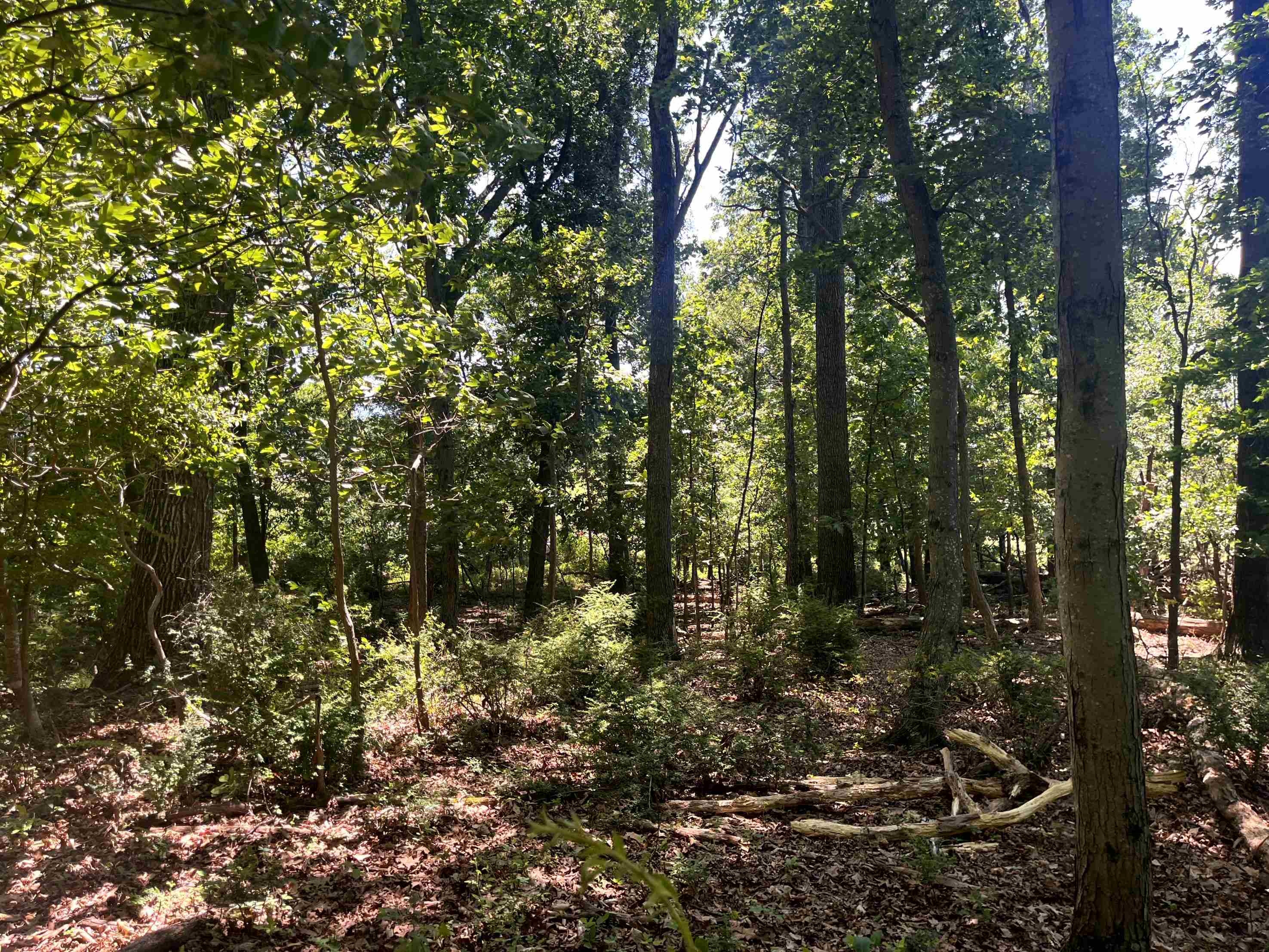 TBD SPOTTSWOOD RD, SPOTTSWOOD, Virginia 24476, ,Land,TBD SPOTTSWOOD RD,678394 MLS # 678394 TBD SPOTTSWOOD RD, SPOTTSWOOD, Virginia 24476, ,Land,TBD SPOTTSWOOD RD,678394 MLS # 678394