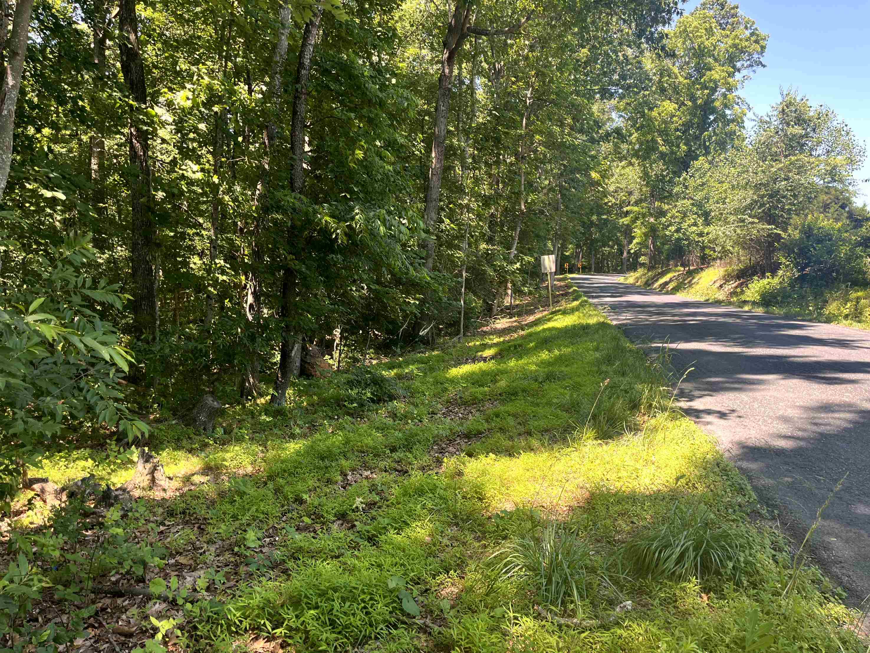 TBD SPOTTSWOOD RD, SPOTTSWOOD, Virginia 24476, ,Land,TBD SPOTTSWOOD RD,678394 MLS # 678394 TBD SPOTTSWOOD RD, SPOTTSWOOD, Virginia 24476, ,Land,TBD SPOTTSWOOD RD,678394 MLS # 678394