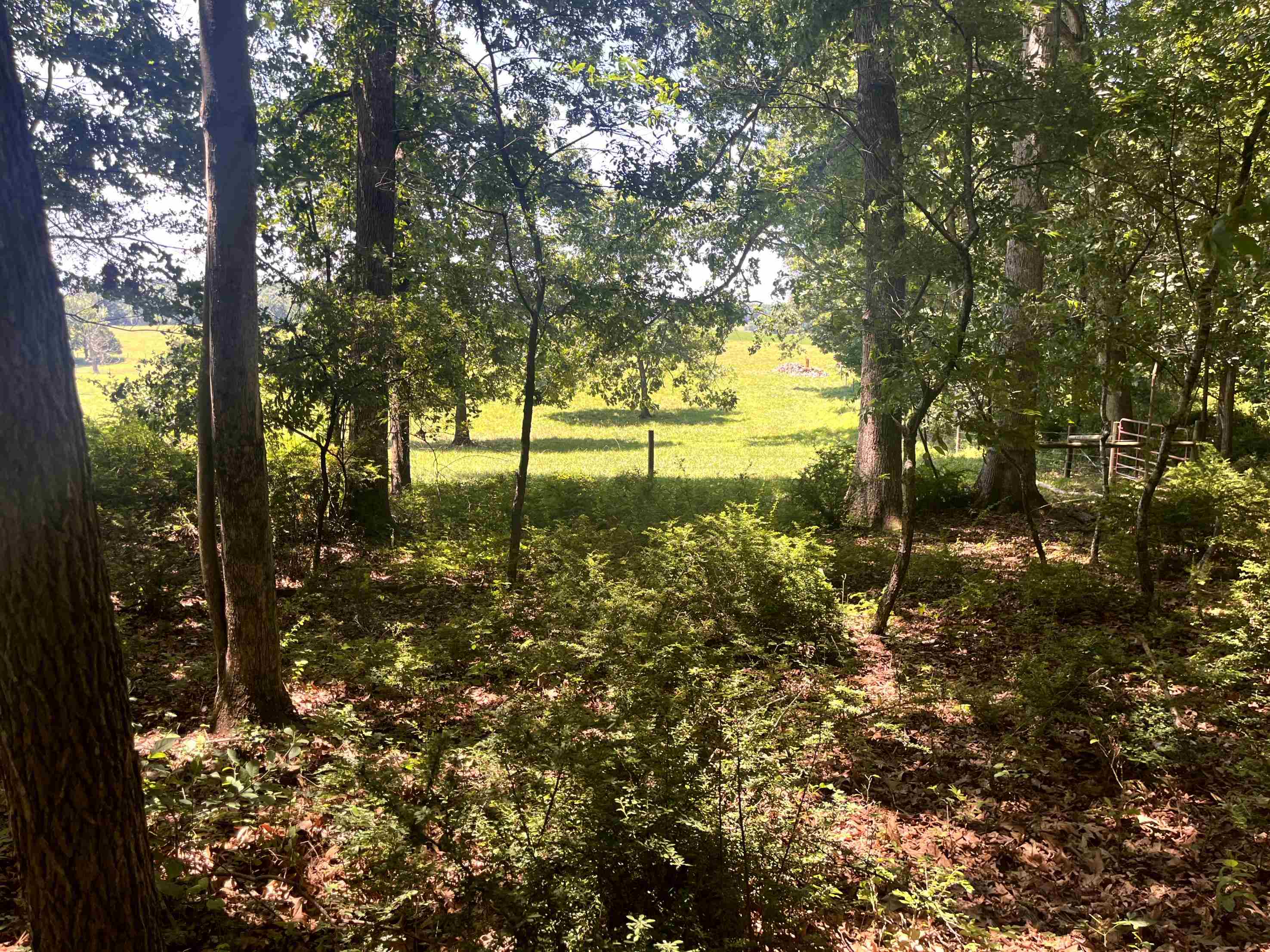 TBD SPOTTSWOOD RD, SPOTTSWOOD, Virginia 24476, ,Land,TBD SPOTTSWOOD RD,678394 MLS # 678394 TBD SPOTTSWOOD RD, SPOTTSWOOD, Virginia 24476, ,Land,TBD SPOTTSWOOD RD,678394 MLS # 678394