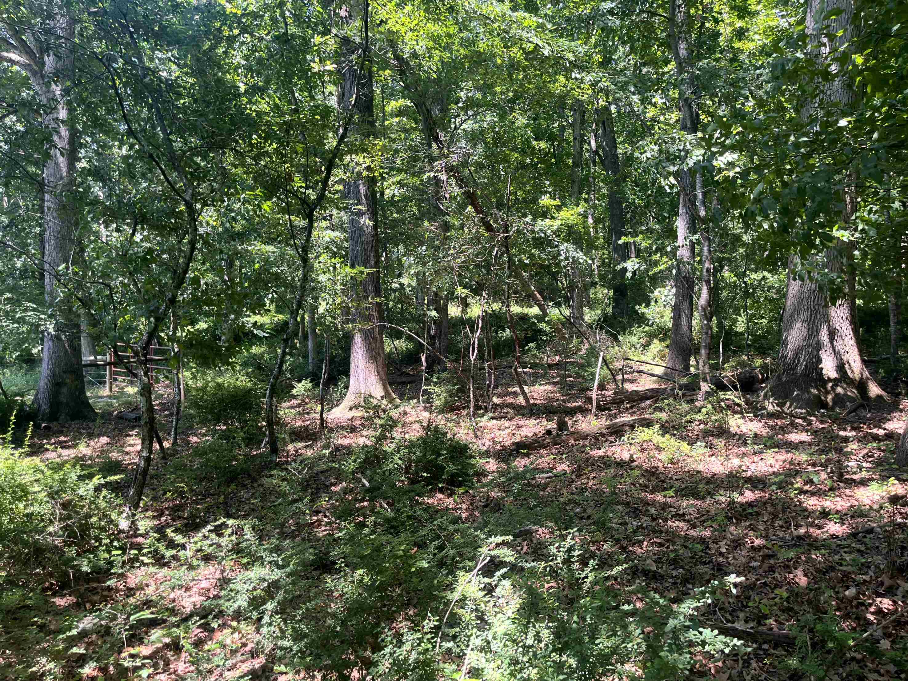 TBD SPOTTSWOOD RD, SPOTTSWOOD, Virginia 24476, ,Land,TBD SPOTTSWOOD RD,678394 MLS # 678394 TBD SPOTTSWOOD RD, SPOTTSWOOD, Virginia 24476, ,Land,TBD SPOTTSWOOD RD,678394 MLS # 678394