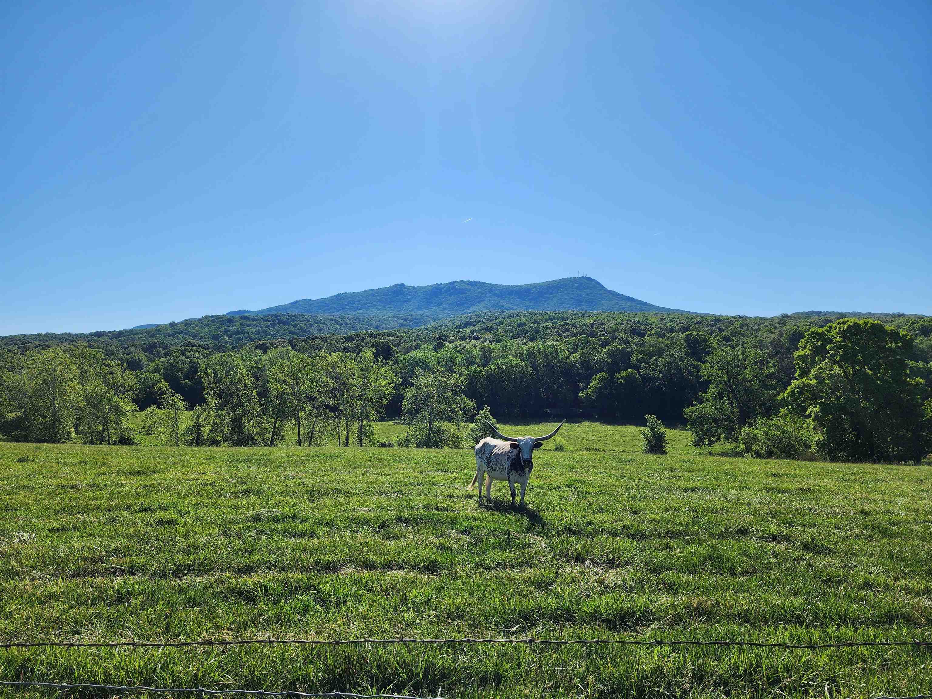 TBD INDIAN TRAIL RD, PENN LAIRD, Virginia 22846, ,Land,TBD INDIAN TRAIL RD,678406 MLS # 678406
