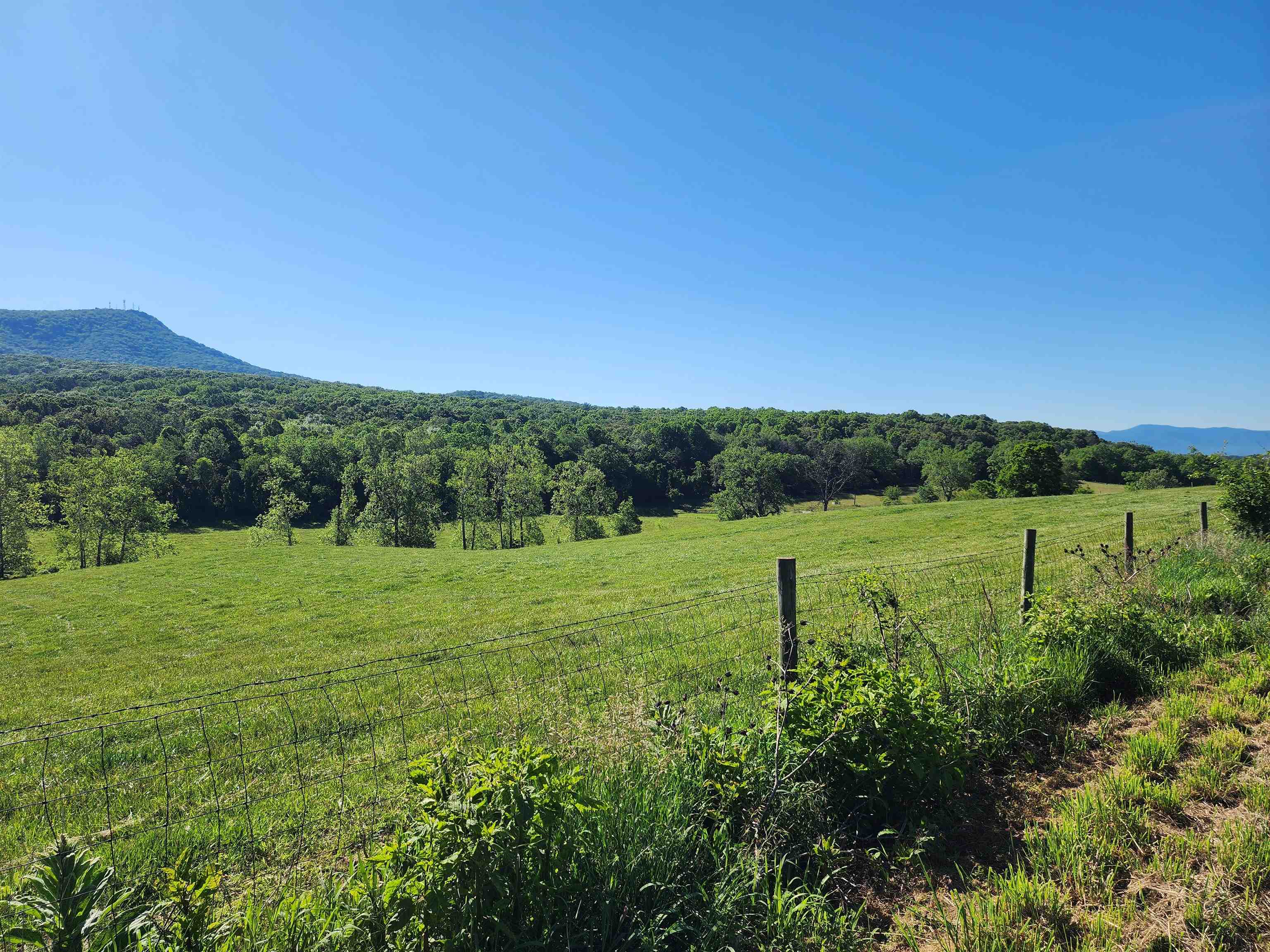TBD INDIAN TRAIL RD, PENN LAIRD, Virginia 22846, ,Land,TBD INDIAN TRAIL RD,678406 MLS # 678406 TBD INDIAN TRAIL RD, PENN LAIRD, Virginia 22846, ,Land,TBD INDIAN TRAIL RD,678406 MLS # 678406