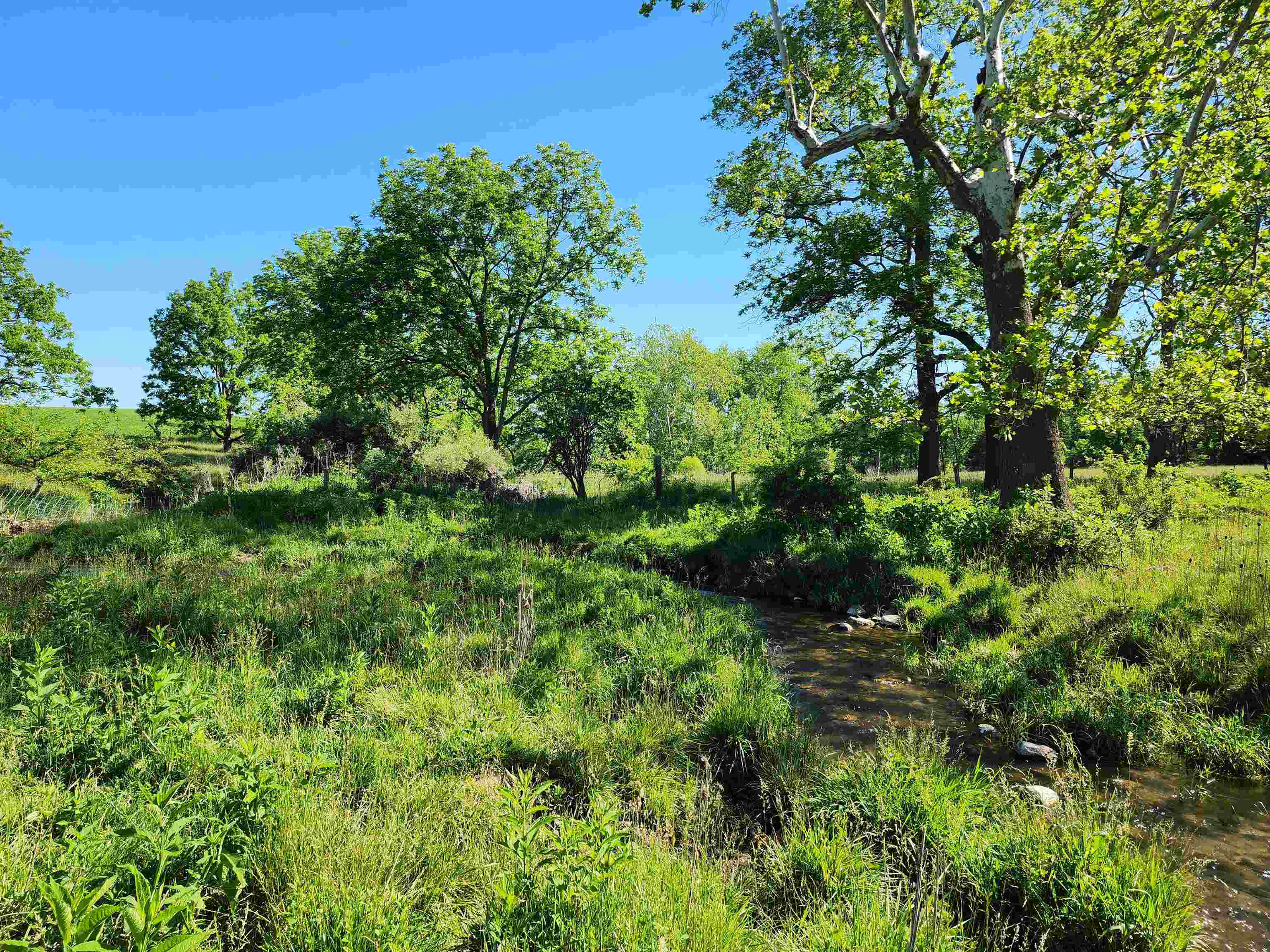 TBD INDIAN TRAIL RD, PENN LAIRD, Virginia 22846, ,Land,TBD INDIAN TRAIL RD,678406 MLS # 678406 TBD INDIAN TRAIL RD, PENN LAIRD, Virginia 22846, ,Land,TBD INDIAN TRAIL RD,678406 MLS # 678406