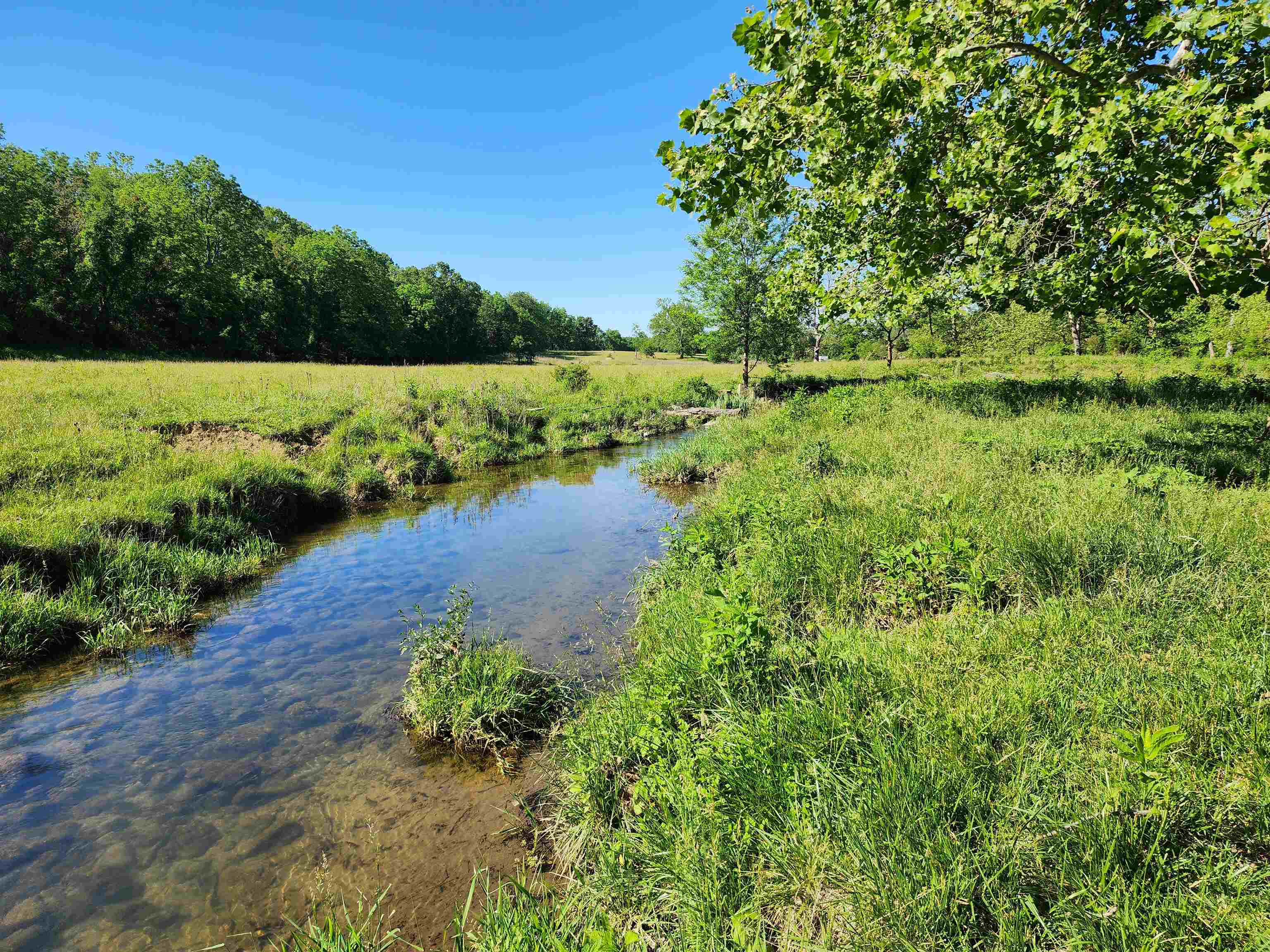 TBD INDIAN TRAIL RD, PENN LAIRD, Virginia 22846, ,Land,TBD INDIAN TRAIL RD,678406 MLS # 678406 TBD INDIAN TRAIL RD, PENN LAIRD, Virginia 22846, ,Land,TBD INDIAN TRAIL RD,678406 MLS # 678406