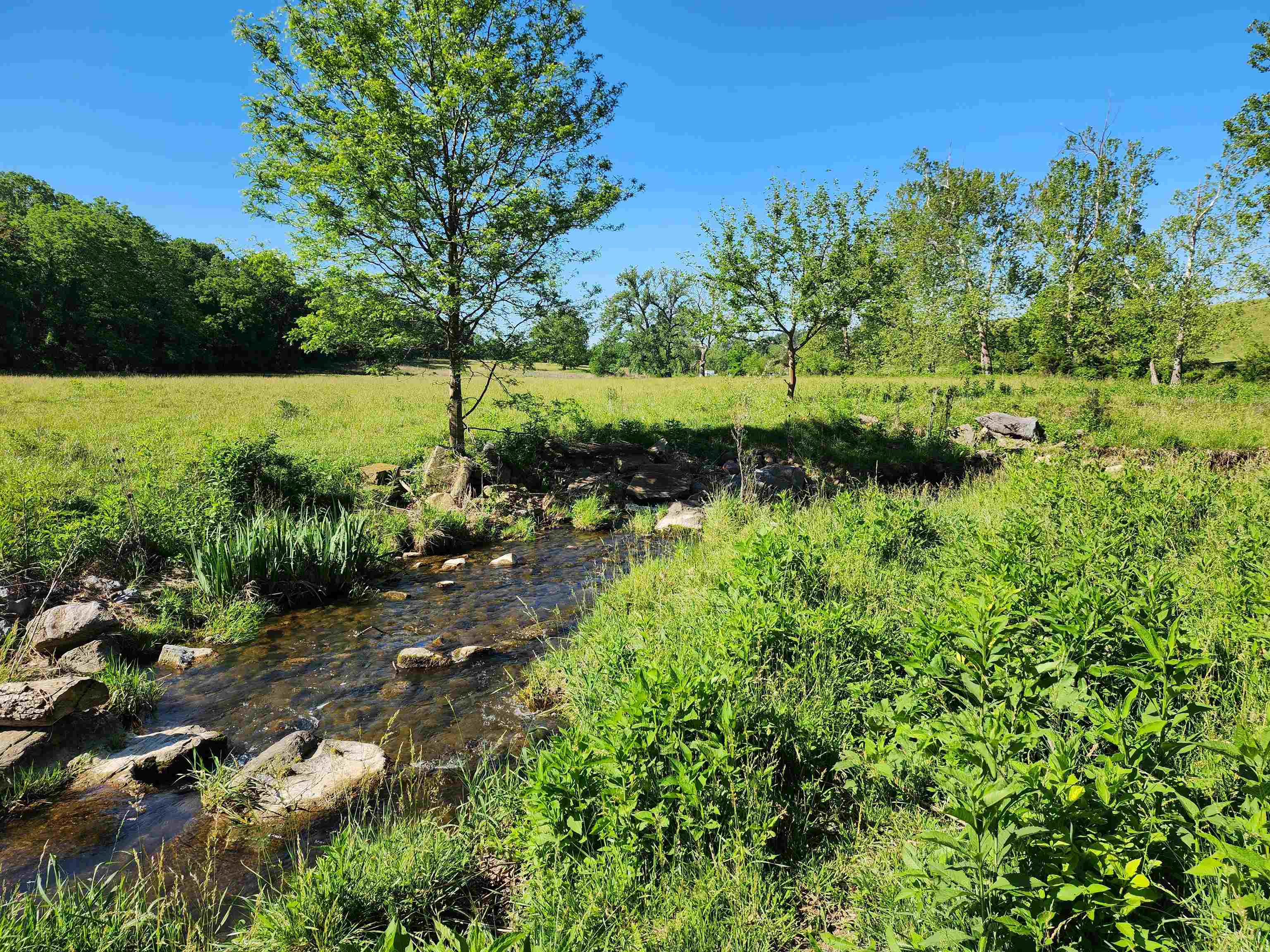TBD INDIAN TRAIL RD, PENN LAIRD, Virginia 22846, ,Land,TBD INDIAN TRAIL RD,678406 MLS # 678406 TBD INDIAN TRAIL RD, PENN LAIRD, Virginia 22846, ,Land,TBD INDIAN TRAIL RD,678406 MLS # 678406