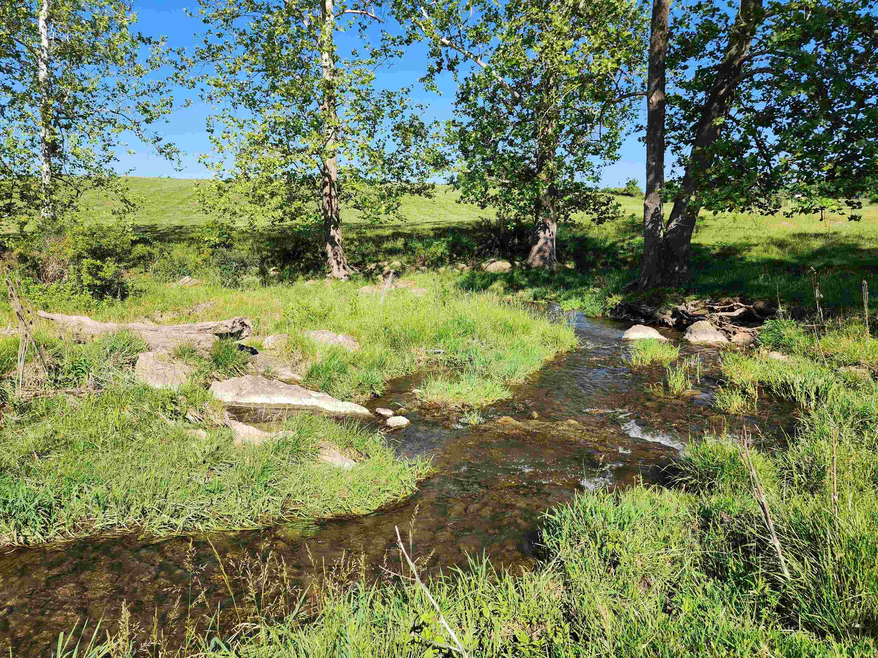 TBD INDIAN TRAIL RD, PENN LAIRD, Virginia 22846, ,Land,TBD INDIAN TRAIL RD,678406 MLS # 678406 TBD INDIAN TRAIL RD, PENN LAIRD, Virginia 22846, ,Land,TBD INDIAN TRAIL RD,678406 MLS # 678406