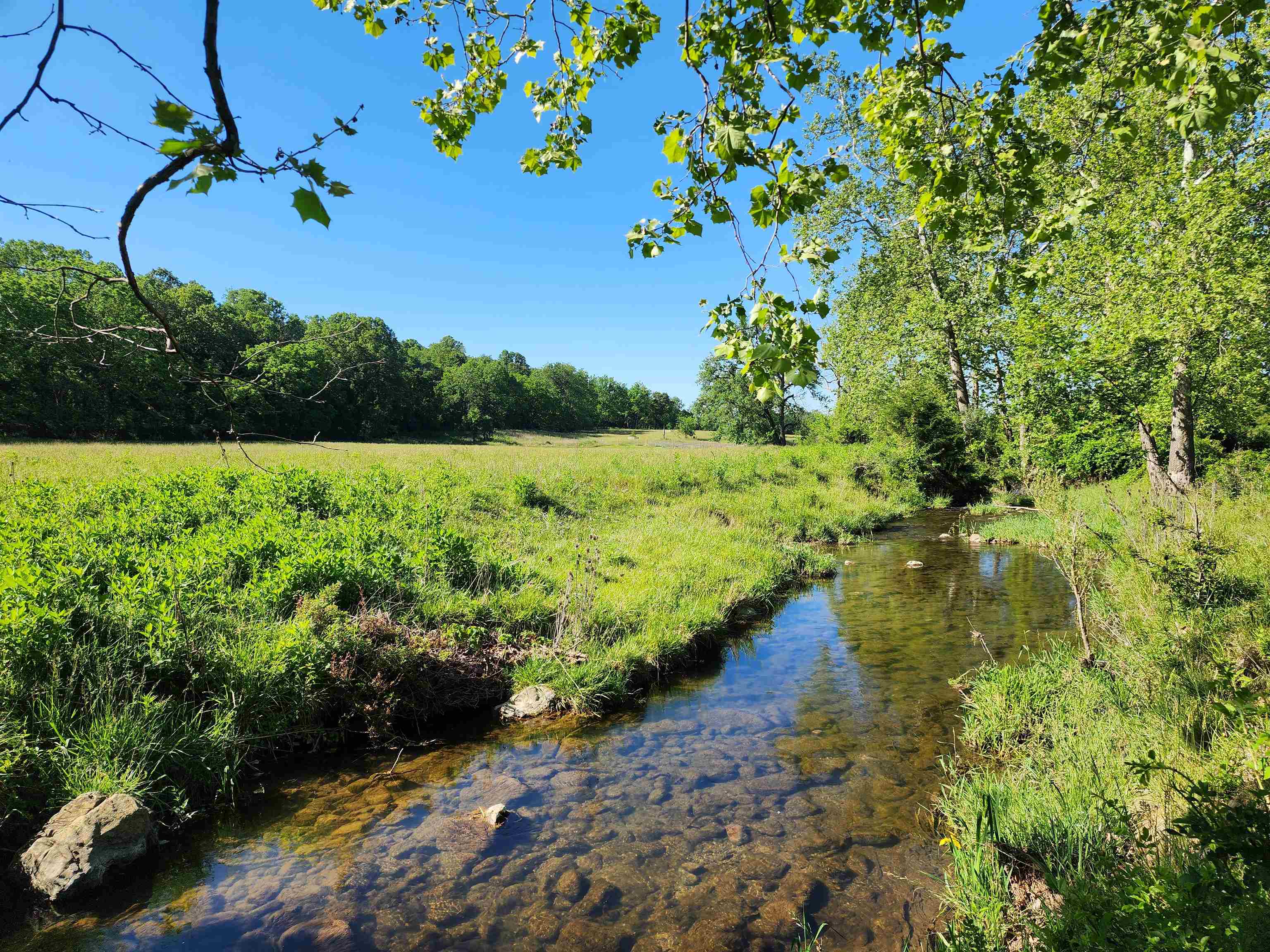TBD INDIAN TRAIL RD, PENN LAIRD, Virginia 22846, ,Land,TBD INDIAN TRAIL RD,678406 MLS # 678406 TBD INDIAN TRAIL RD, PENN LAIRD, Virginia 22846, ,Land,TBD INDIAN TRAIL RD,678406 MLS # 678406