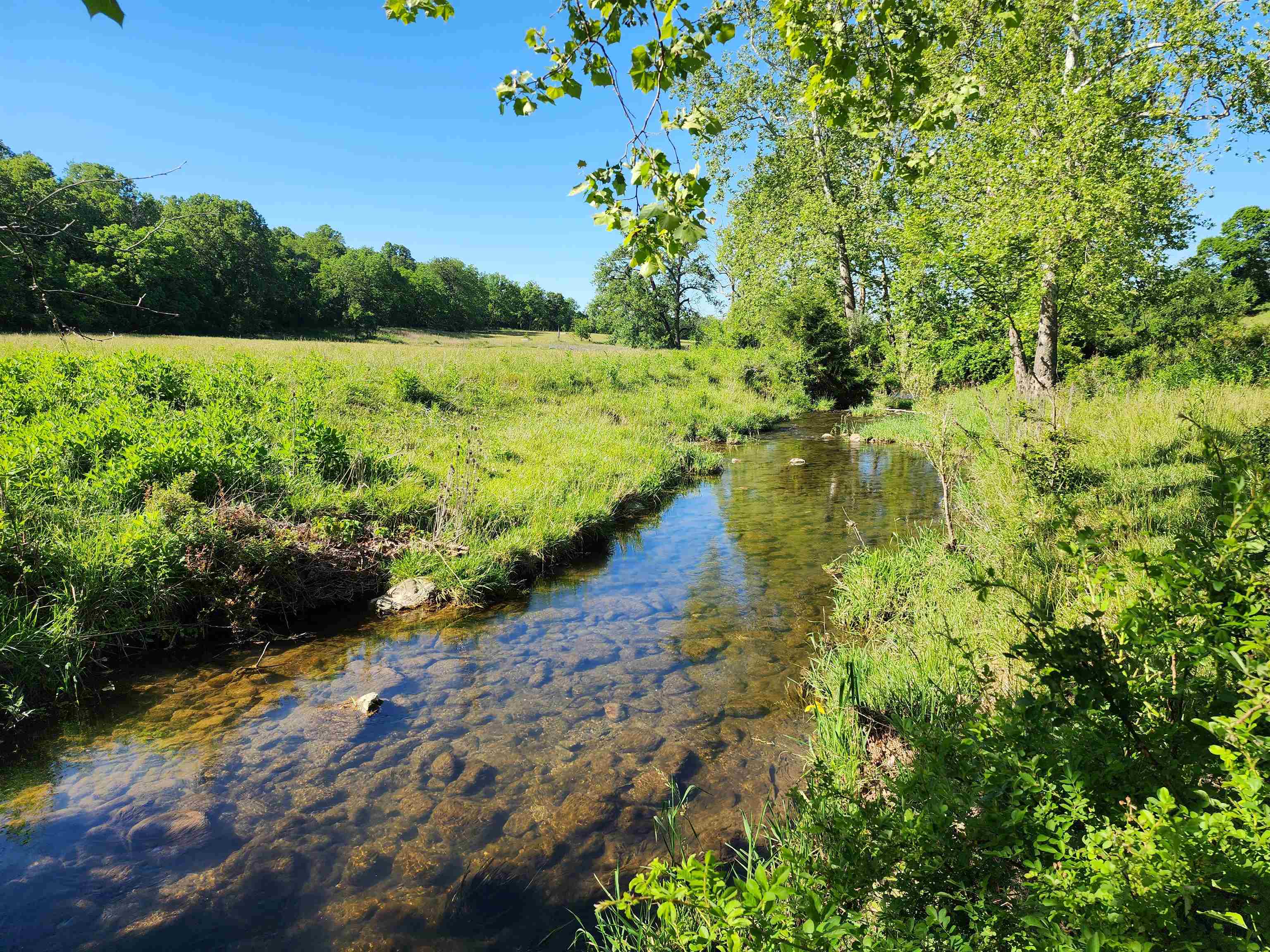 TBD INDIAN TRAIL RD, PENN LAIRD, Virginia 22846, ,Land,TBD INDIAN TRAIL RD,678406 MLS # 678406 TBD INDIAN TRAIL RD, PENN LAIRD, Virginia 22846, ,Land,TBD INDIAN TRAIL RD,678406 MLS # 678406