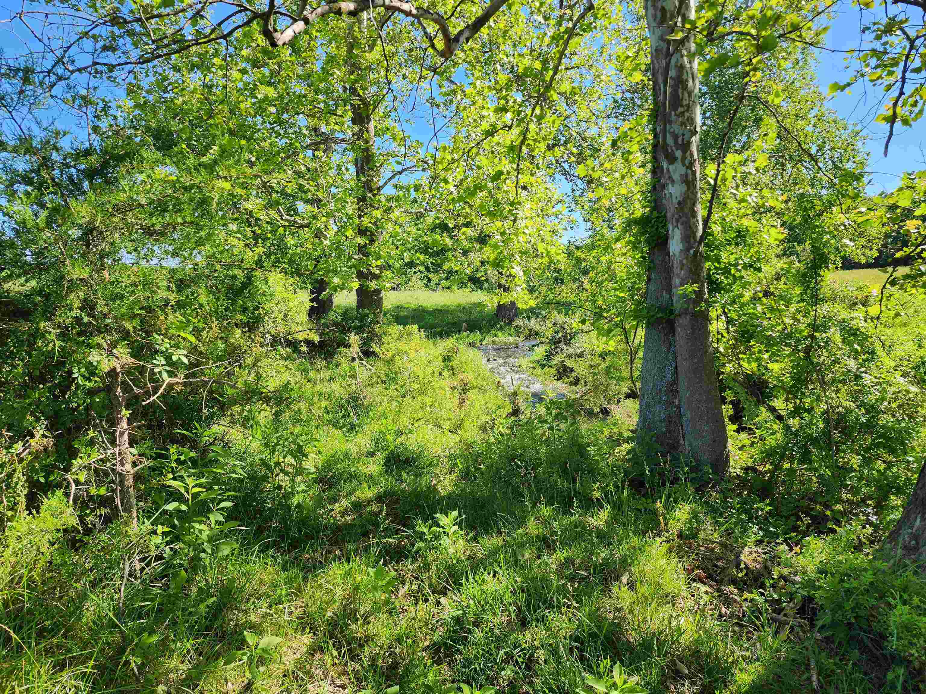 TBD INDIAN TRAIL RD, PENN LAIRD, Virginia 22846, ,Land,TBD INDIAN TRAIL RD,678406 MLS # 678406 TBD INDIAN TRAIL RD, PENN LAIRD, Virginia 22846, ,Land,TBD INDIAN TRAIL RD,678406 MLS # 678406