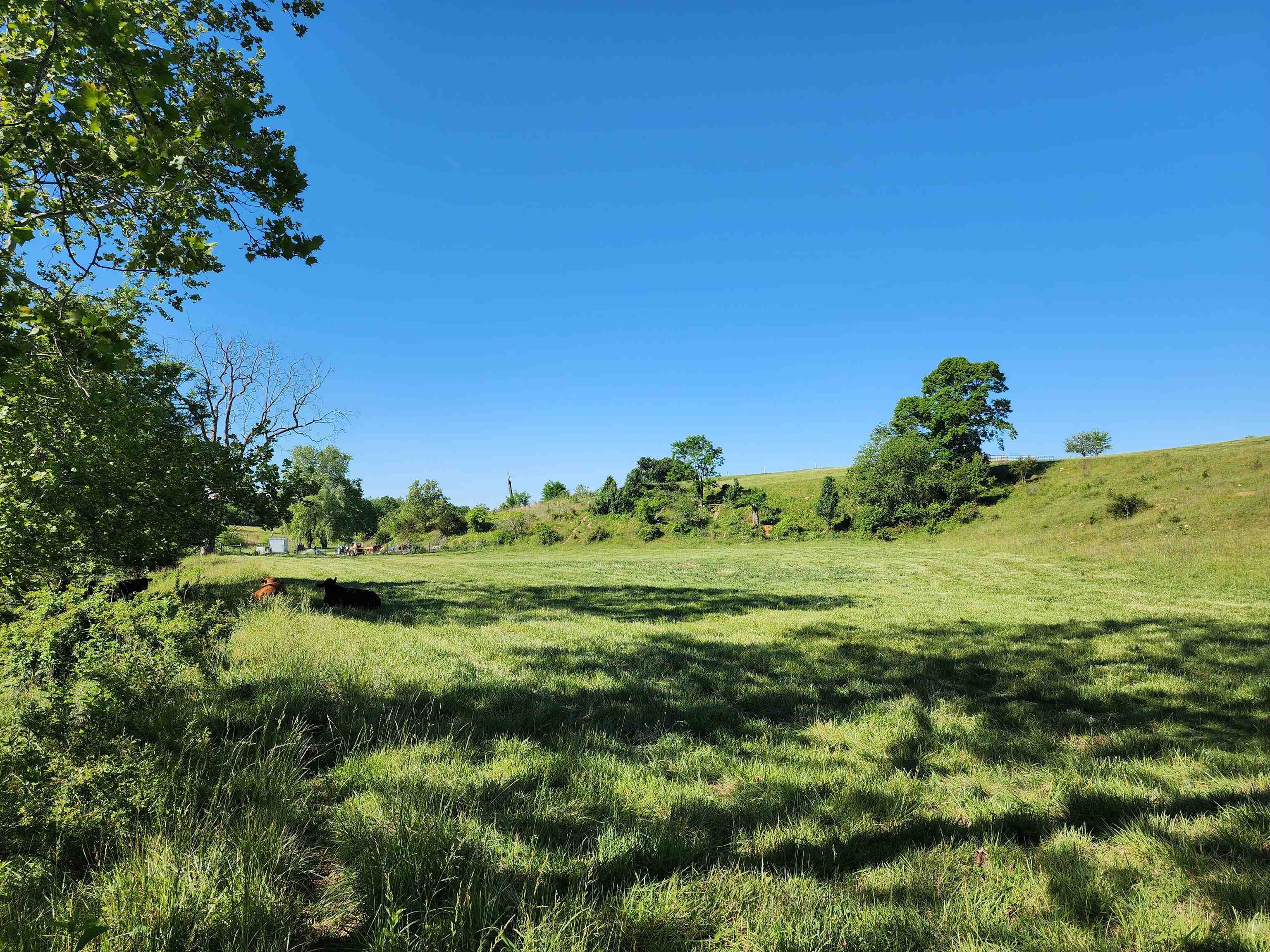 TBD INDIAN TRAIL RD, PENN LAIRD, Virginia 22846, ,Land,TBD INDIAN TRAIL RD,678406 MLS # 678406 TBD INDIAN TRAIL RD, PENN LAIRD, Virginia 22846, ,Land,TBD INDIAN TRAIL RD,678406 MLS # 678406
