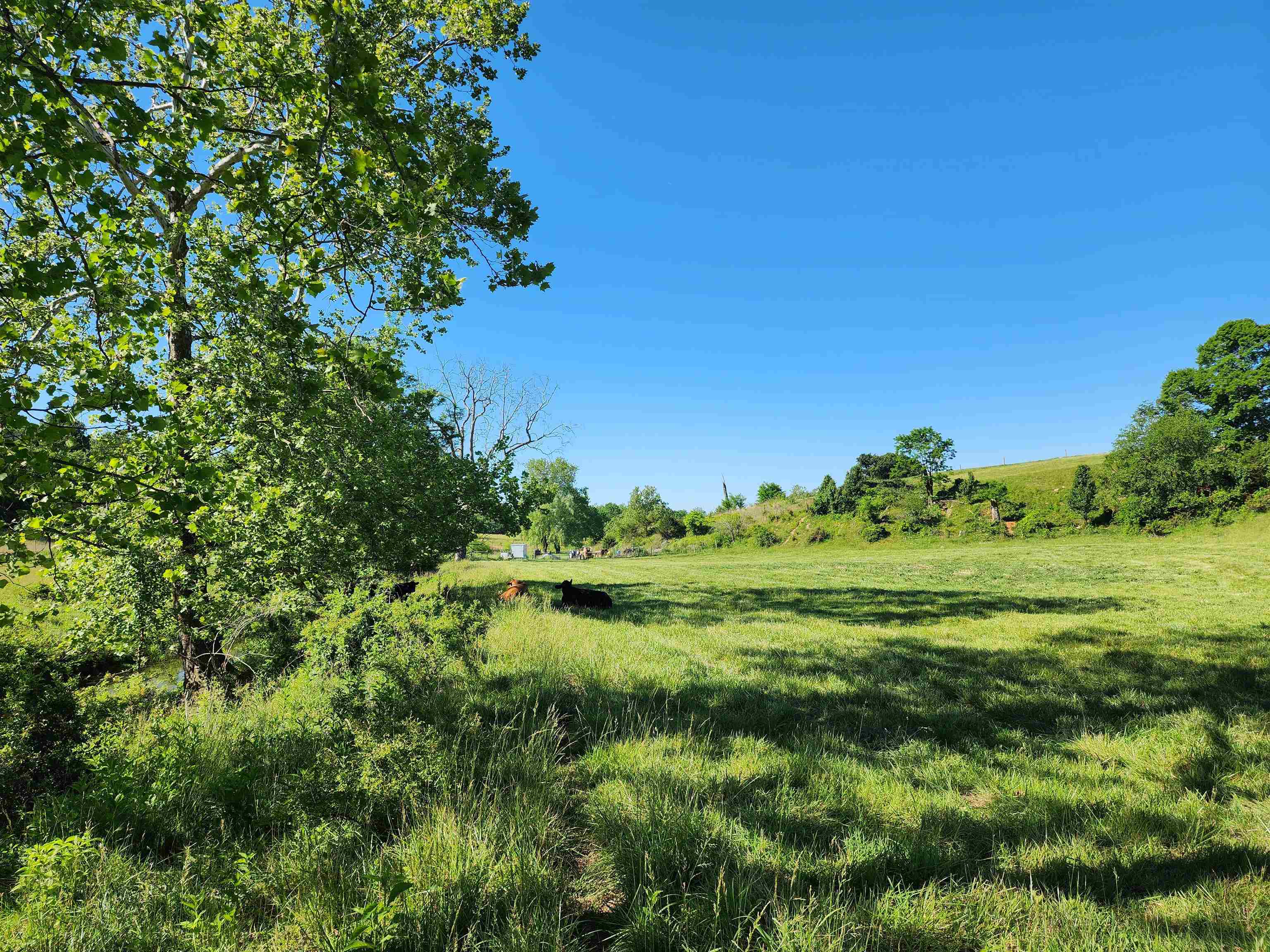 TBD INDIAN TRAIL RD, PENN LAIRD, Virginia 22846, ,Land,TBD INDIAN TRAIL RD,678406 MLS # 678406 TBD INDIAN TRAIL RD, PENN LAIRD, Virginia 22846, ,Land,TBD INDIAN TRAIL RD,678406 MLS # 678406