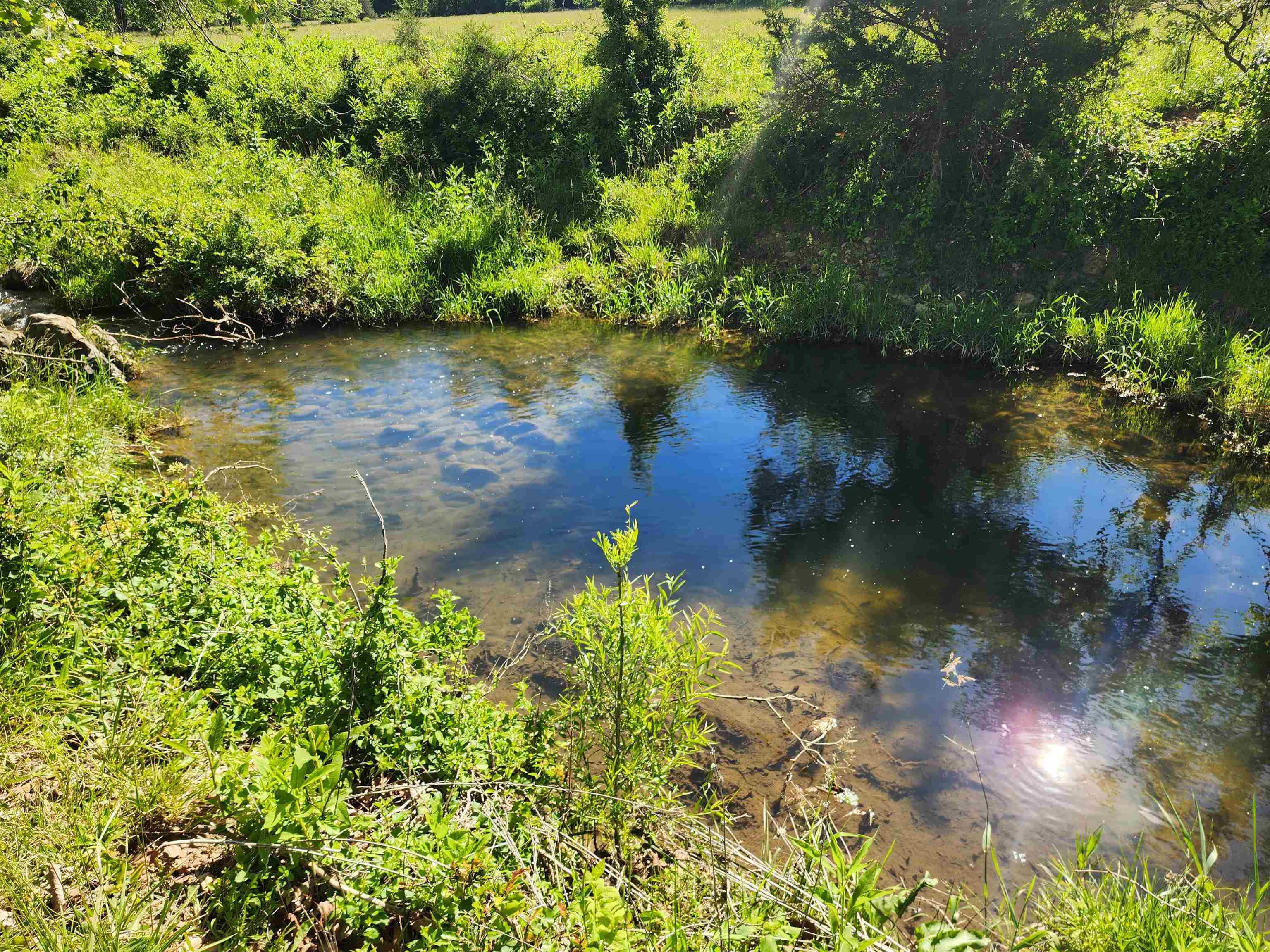 TBD INDIAN TRAIL RD, PENN LAIRD, Virginia 22846, ,Land,TBD INDIAN TRAIL RD,678406 MLS # 678406 TBD INDIAN TRAIL RD, PENN LAIRD, Virginia 22846, ,Land,TBD INDIAN TRAIL RD,678406 MLS # 678406