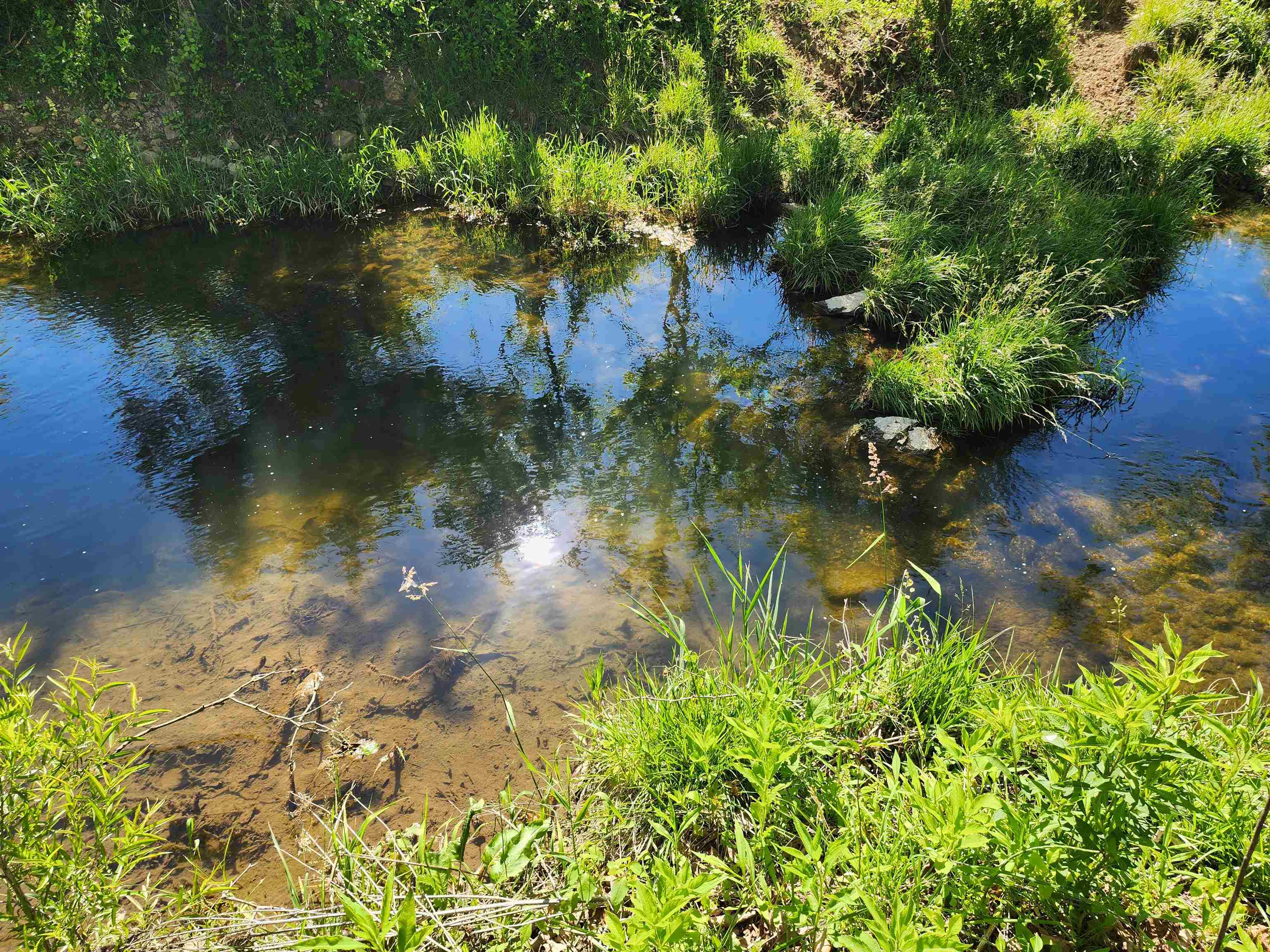 TBD INDIAN TRAIL RD, PENN LAIRD, Virginia 22846, ,Land,TBD INDIAN TRAIL RD,678406 MLS # 678406 TBD INDIAN TRAIL RD, PENN LAIRD, Virginia 22846, ,Land,TBD INDIAN TRAIL RD,678406 MLS # 678406