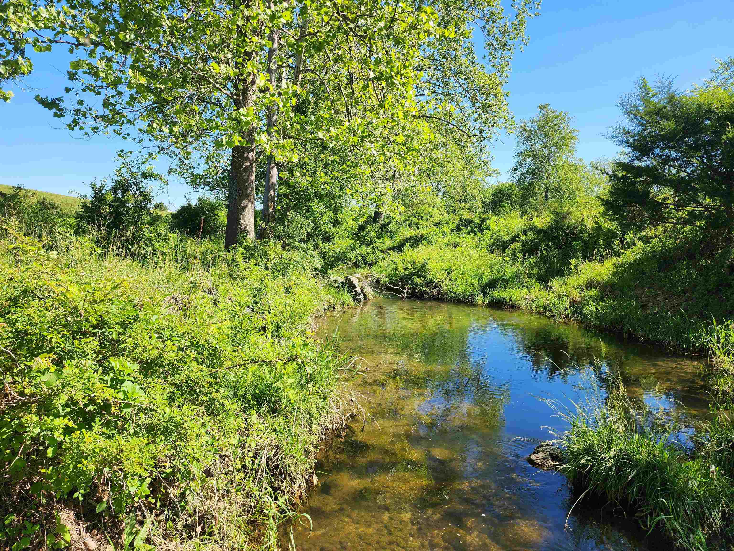 TBD INDIAN TRAIL RD, PENN LAIRD, Virginia 22846, ,Land,TBD INDIAN TRAIL RD,678406 MLS # 678406 TBD INDIAN TRAIL RD, PENN LAIRD, Virginia 22846, ,Land,TBD INDIAN TRAIL RD,678406 MLS # 678406