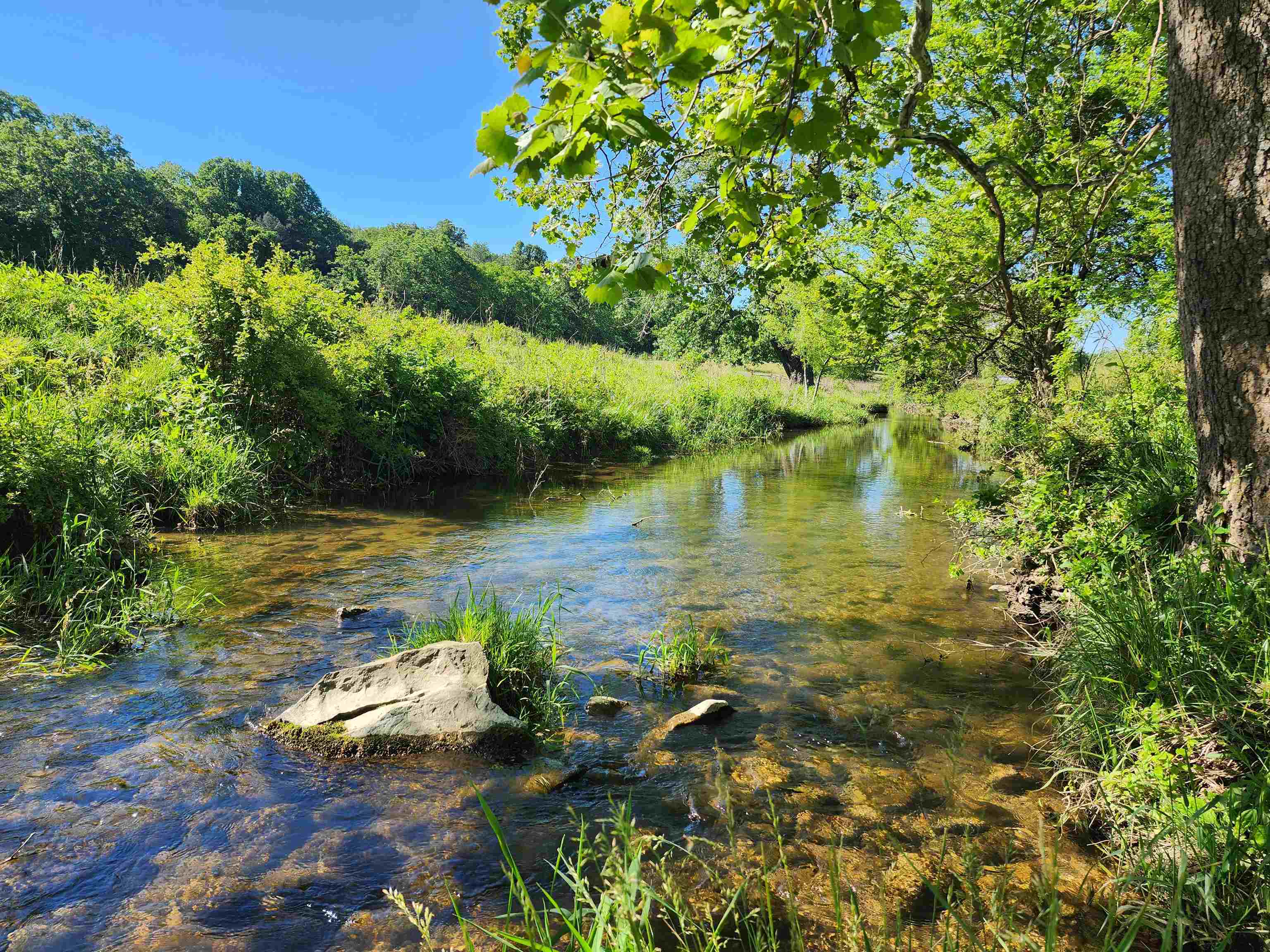 TBD INDIAN TRAIL RD, PENN LAIRD, Virginia 22846, ,Land,TBD INDIAN TRAIL RD,678406 MLS # 678406 TBD INDIAN TRAIL RD, PENN LAIRD, Virginia 22846, ,Land,TBD INDIAN TRAIL RD,678406 MLS # 678406