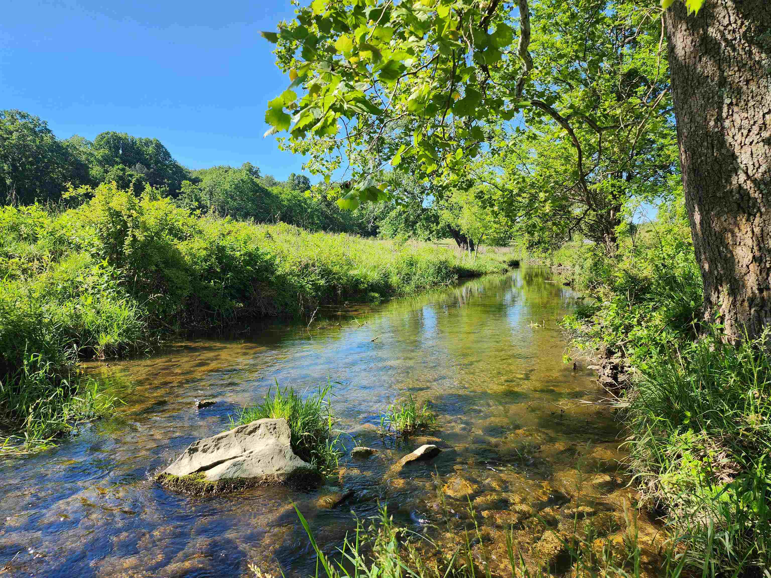 TBD INDIAN TRAIL RD, PENN LAIRD, Virginia 22846, ,Land,TBD INDIAN TRAIL RD,678406 MLS # 678406 TBD INDIAN TRAIL RD, PENN LAIRD, Virginia 22846, ,Land,TBD INDIAN TRAIL RD,678406 MLS # 678406