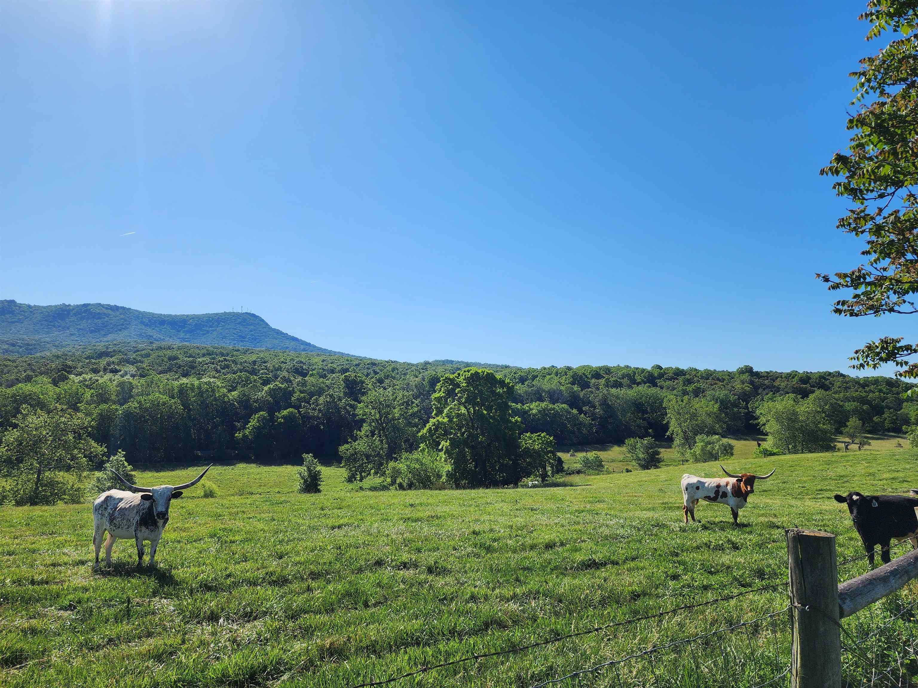 TBD INDIAN TRAIL RD, PENN LAIRD, Virginia 22846, ,Land,TBD INDIAN TRAIL RD,678406 MLS # 678406 TBD INDIAN TRAIL RD, PENN LAIRD, Virginia 22846, ,Land,TBD INDIAN TRAIL RD,678406 MLS # 678406