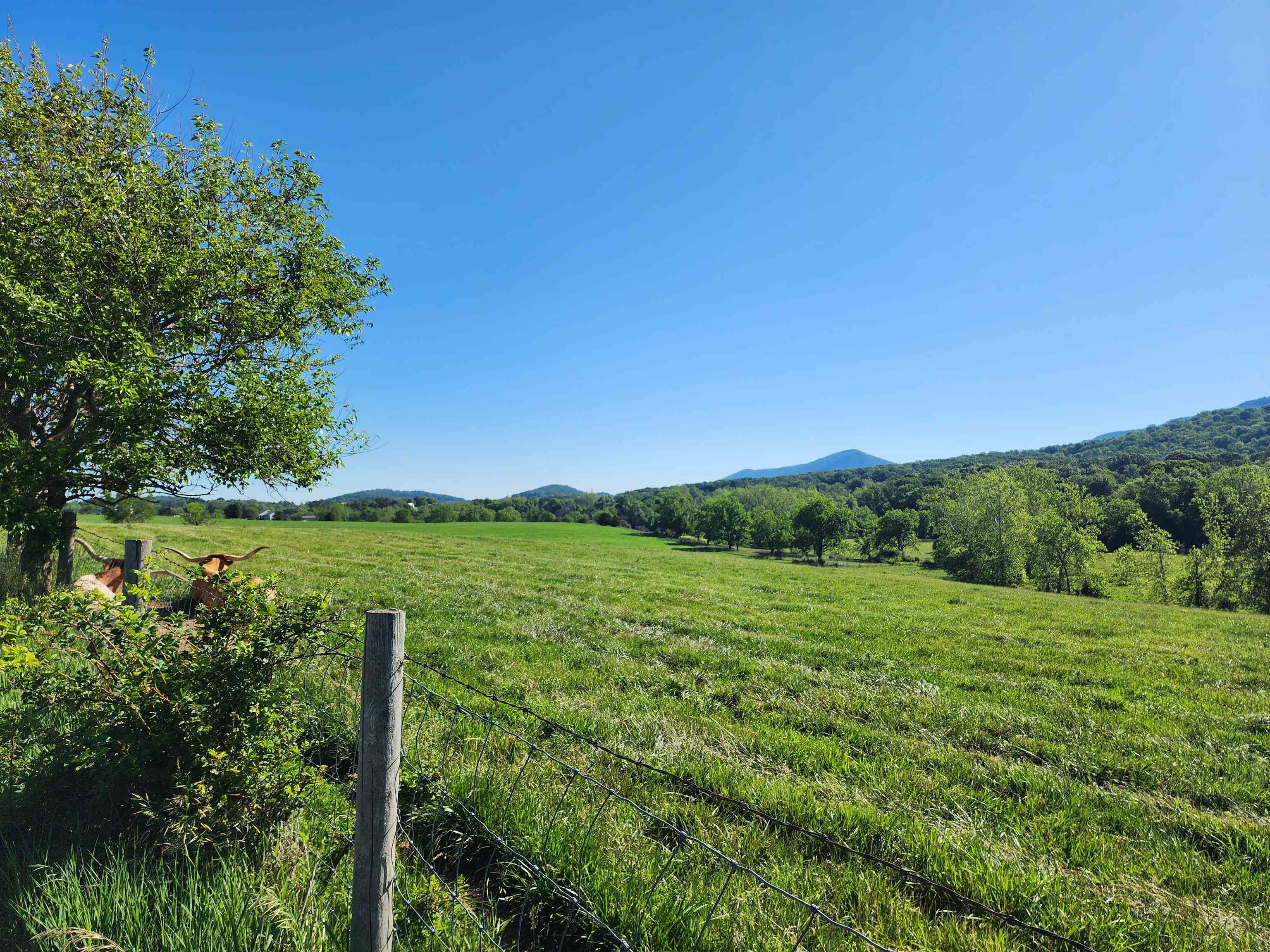 TBD INDIAN TRAIL RD, PENN LAIRD, Virginia 22846, ,Land,TBD INDIAN TRAIL RD,678406 MLS # 678406 TBD INDIAN TRAIL RD, PENN LAIRD, Virginia 22846, ,Land,TBD INDIAN TRAIL RD,678406 MLS # 678406