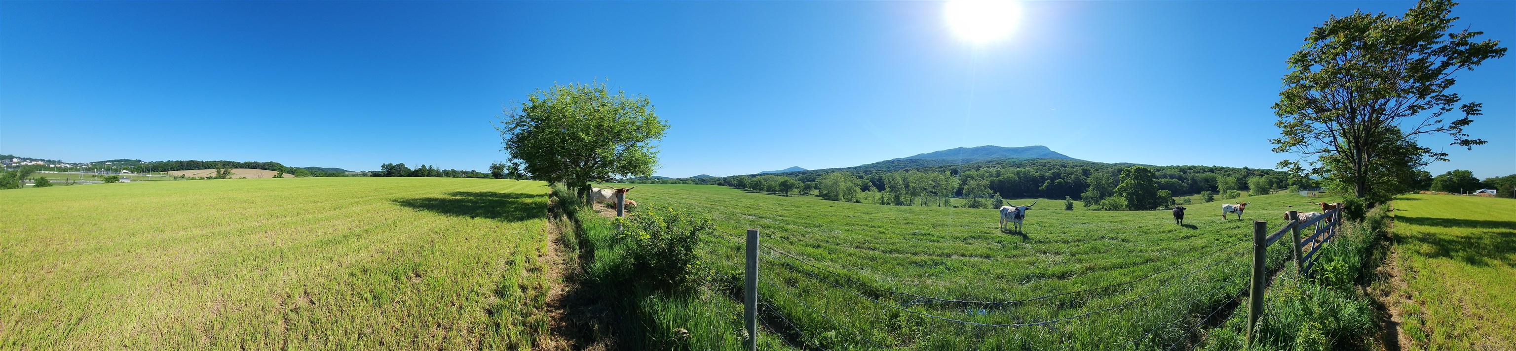 TBD INDIAN TRAIL RD, PENN LAIRD, Virginia 22846, ,Land,TBD INDIAN TRAIL RD,678406 MLS # 678406 TBD INDIAN TRAIL RD, PENN LAIRD, Virginia 22846, ,Land,TBD INDIAN TRAIL RD,678406 MLS # 678406