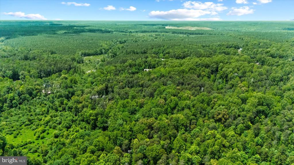 5621 TOWLES MILL RD, PARTLOW, Virginia 22534, 4 Bedrooms Bedrooms, ,3 BathroomsBathrooms,Residential,5621 TOWLES MILL RD,VASP2041366 MLS # VASP2041366