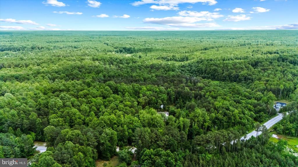5621 TOWLES MILL RD, PARTLOW, Virginia 22534, 4 Bedrooms Bedrooms, ,3 BathroomsBathrooms,Residential,5621 TOWLES MILL RD,VASP2041366 MLS # VASP2041366