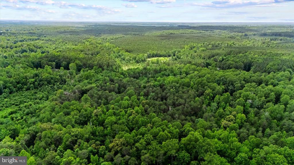 5621 TOWLES MILL RD, PARTLOW, Virginia 22534, 4 Bedrooms Bedrooms, ,3 BathroomsBathrooms,Residential,5621 TOWLES MILL RD,VASP2041366 MLS # VASP2041366