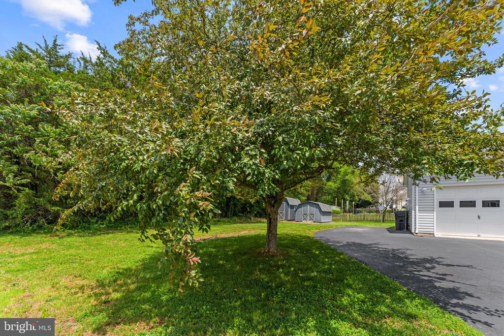 11737 BATTLE RIDGE DR, REMINGTON, Virginia 22734, 3 Bedrooms Bedrooms, ,2 BathroomsBathrooms,Residential,11737 BATTLE RIDGE DR,VAFQ2022502 MLS # VAFQ2022502 11737 BATTLE RIDGE DR, REMINGTON, Virginia 22734, 3 Bedrooms Bedrooms, ,2 BathroomsBathrooms,Residential,11737 BATTLE RIDGE DR,VAFQ2022502 MLS # VAFQ2022502