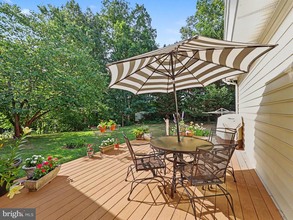 3226 CAVALRY RIDGE CT, FREDERICKSBURG, Virginia 22408, 3 Bedrooms Bedrooms, ,2 BathroomsBathrooms,Residential,3226 CAVALRY RIDGE CT,VASP2042874 MLS # VASP2042874