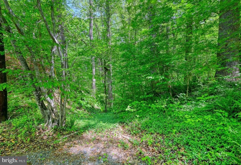 14584 CROSS COUNTY RD, MINERAL, Virginia 23117, ,Farm,14584 CROSS COUNTY RD,VALA2010074 MLS # VALA2010074 14584 CROSS COUNTY RD, MINERAL, Virginia 23117, ,Farm,14584 CROSS COUNTY RD,VALA2010074 MLS # VALA2010074