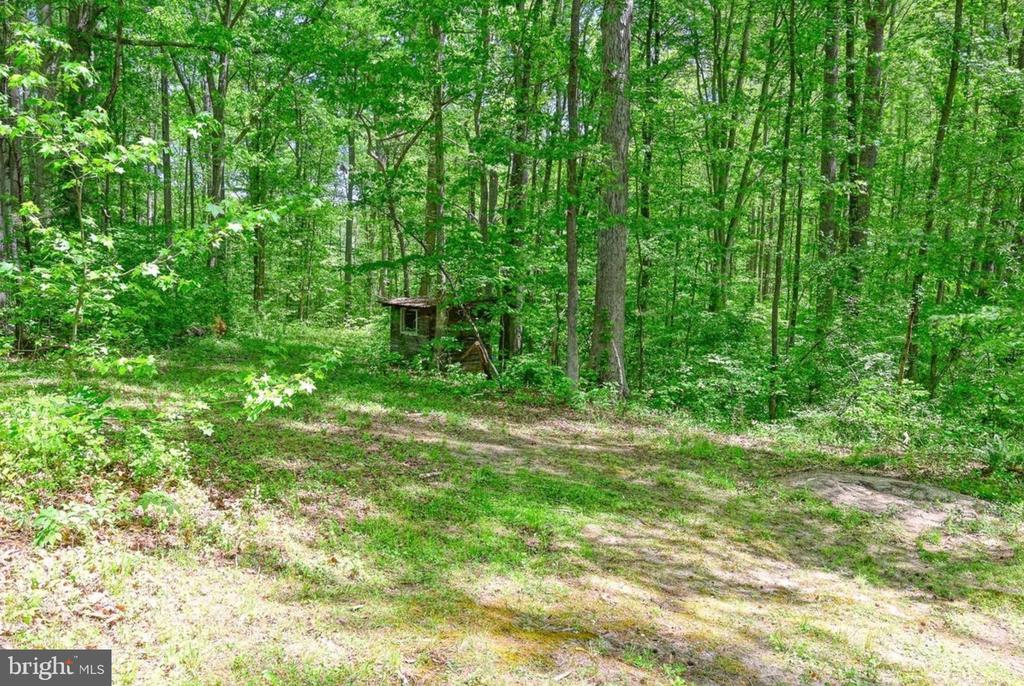 14584 CROSS COUNTY RD, MINERAL, Virginia 23117, ,Farm,14584 CROSS COUNTY RD,VALA2010074 MLS # VALA2010074 14584 CROSS COUNTY RD, MINERAL, Virginia 23117, ,Farm,14584 CROSS COUNTY RD,VALA2010074 MLS # VALA2010074