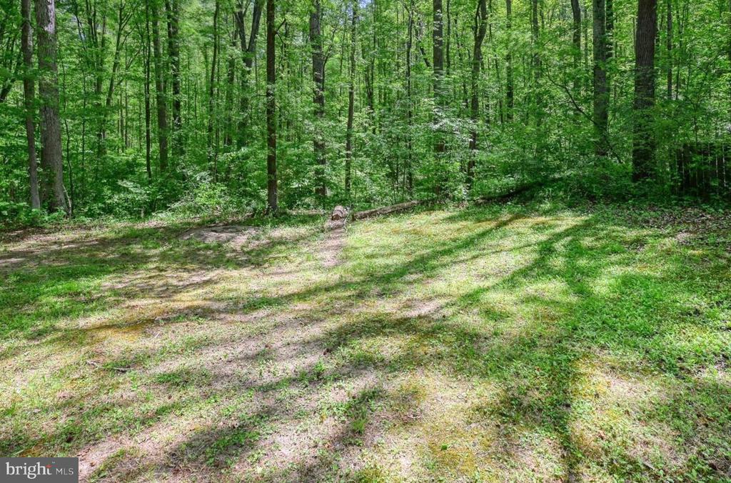 14584 CROSS COUNTY RD, MINERAL, Virginia 23117, ,Farm,14584 CROSS COUNTY RD,VALA2010074 MLS # VALA2010074 14584 CROSS COUNTY RD, MINERAL, Virginia 23117, ,Farm,14584 CROSS COUNTY RD,VALA2010074 MLS # VALA2010074