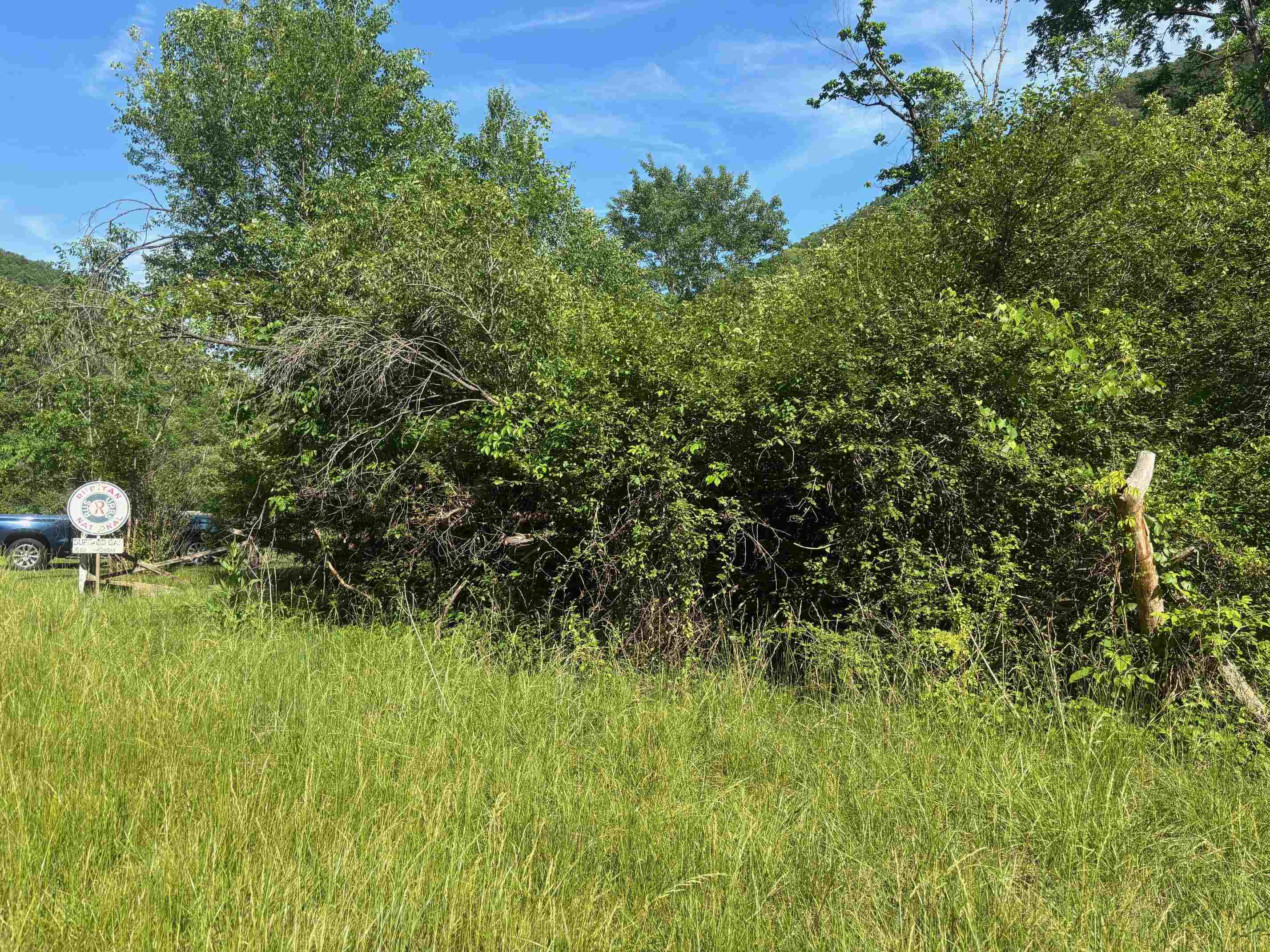 TBD 1.99 Acres PARKERSBURG TPKE, SWOOPE, Virginia 24479, ,Land,TBD 1.99 Acres PARKERSBURG TPKE,678413 MLS # 678413