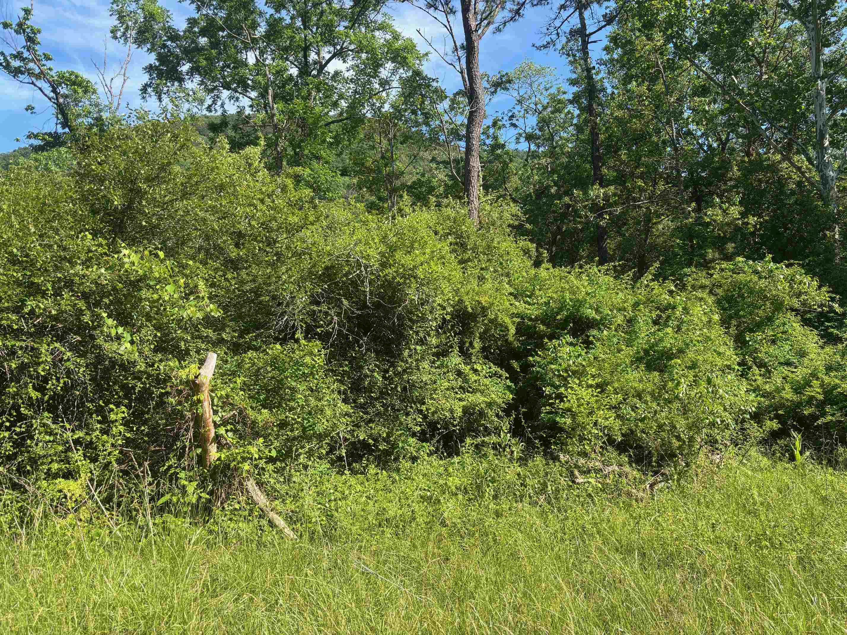 TBD 1.99 Acres PARKERSBURG TPKE, SWOOPE, Virginia 24479, ,Land,TBD 1.99 Acres PARKERSBURG TPKE,678413 MLS # 678413