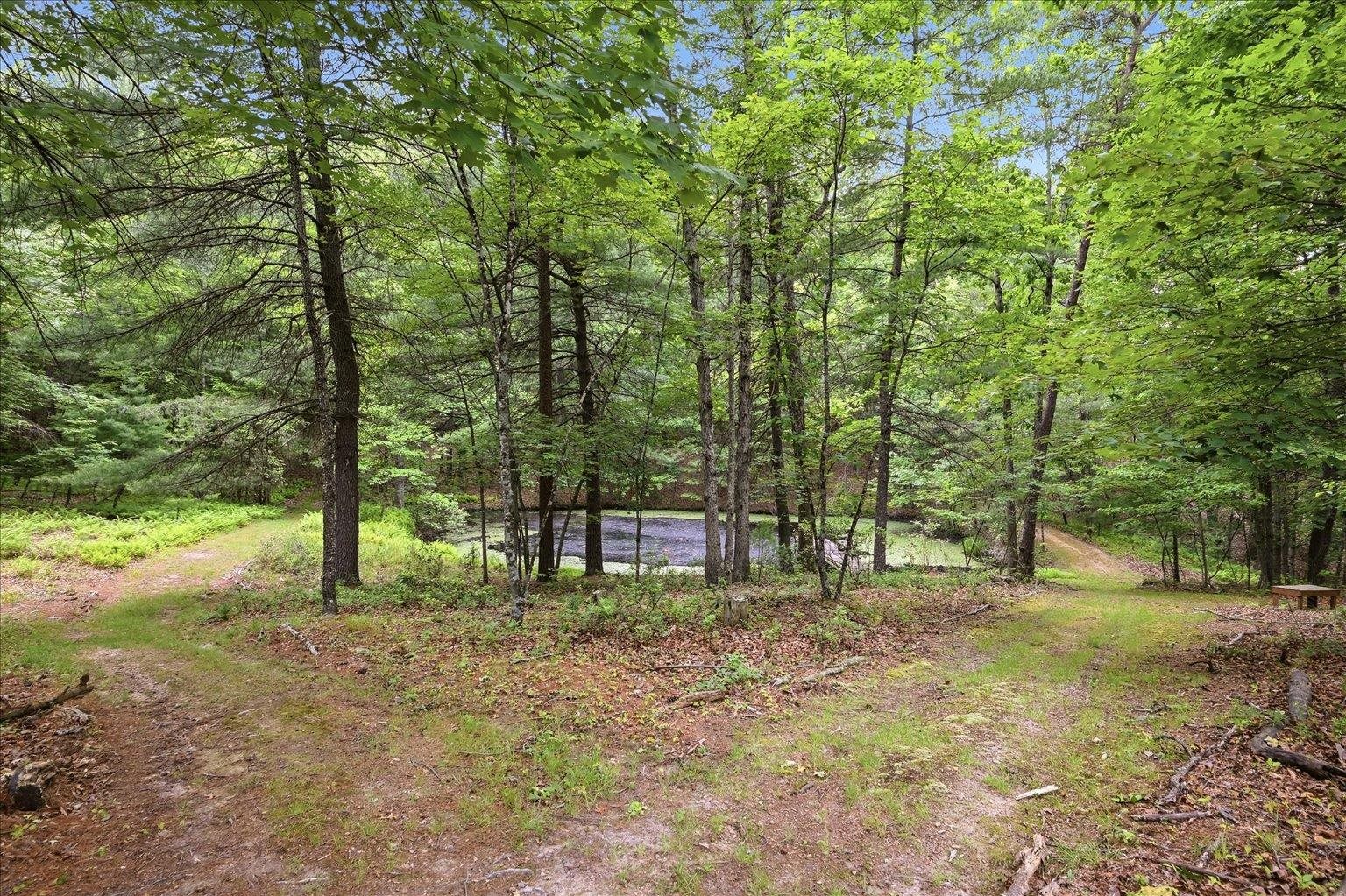 14636 TURNER RUN RD, FULKS RUN, Virginia 22830, 3 Bedrooms Bedrooms, ,2 BathroomsBathrooms,Residential,14636 TURNER RUN RD,678409 MLS # 678409