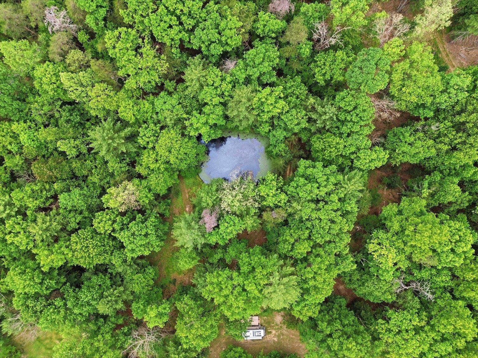 14636 TURNER RUN RD, FULKS RUN, Virginia 22830, 3 Bedrooms Bedrooms, ,2 BathroomsBathrooms,Residential,14636 TURNER RUN RD,678409 MLS # 678409