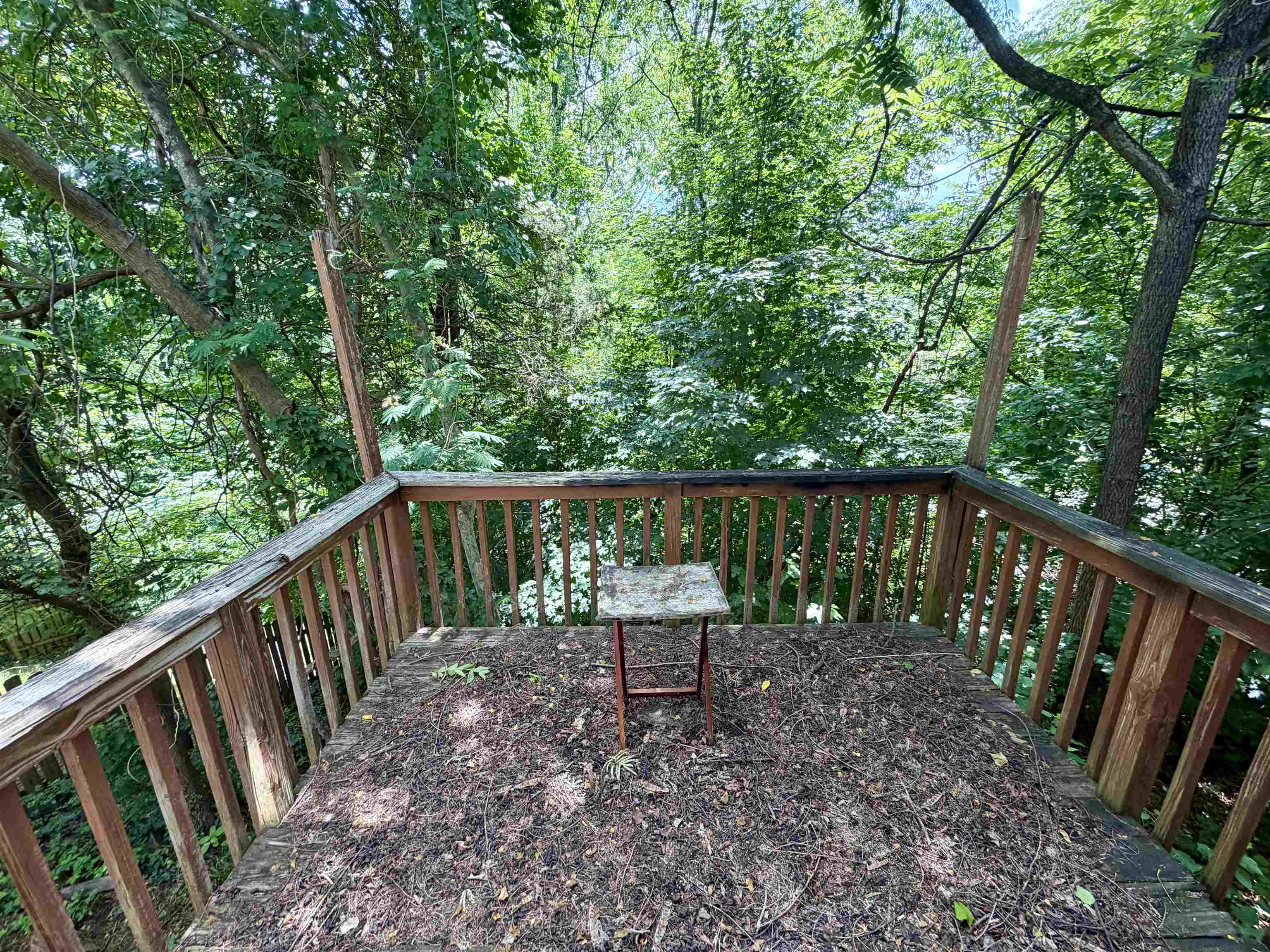 312 RIVERSIDE AVE, CHARLOTTESVILLE, Virginia 22902, 3 Bedrooms Bedrooms, ,2 BathroomsBathrooms,Residential,312 RIVERSIDE AVE,678416 MLS # 678416