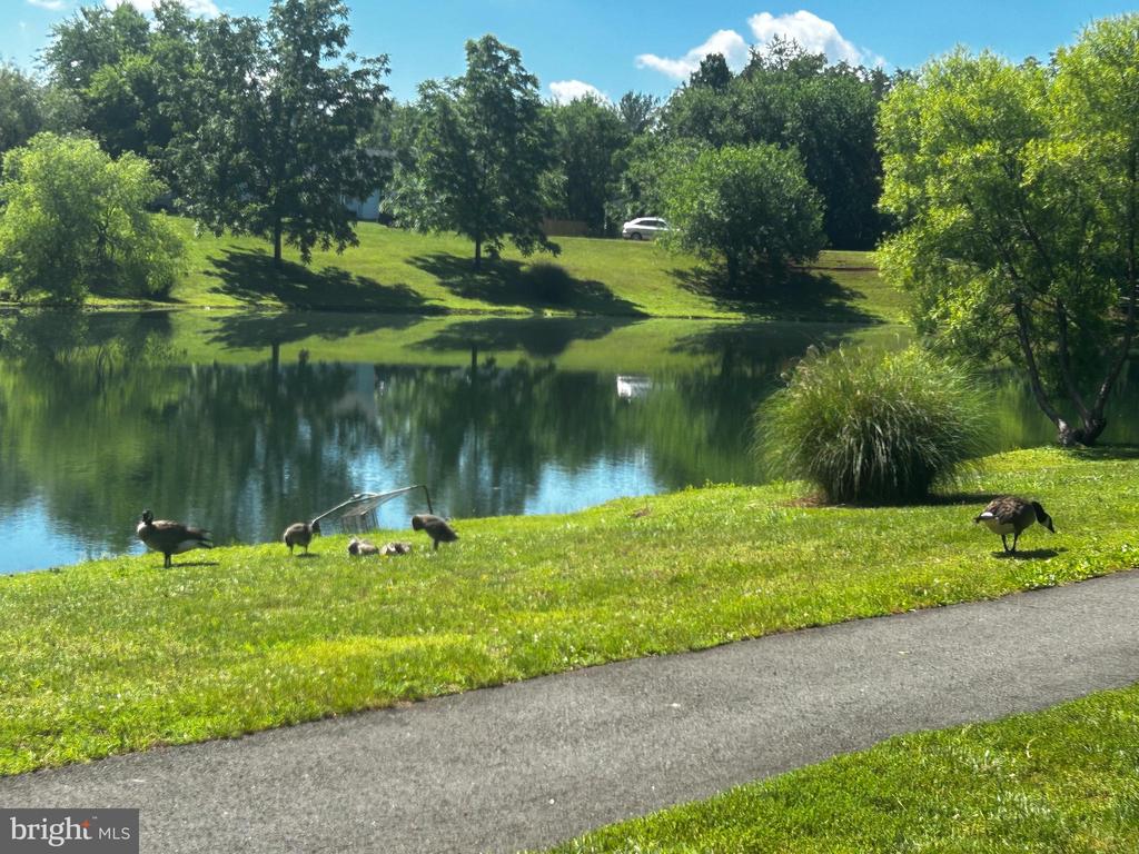 1409 N THOMAS WAY, CULPEPER, Virginia 22701, 3 Bedrooms Bedrooms, ,2 BathroomsBathrooms,Residential,1409 N THOMAS WAY,VACU2014058 MLS # VACU2014058 1409 N THOMAS WAY, CULPEPER, Virginia 22701, 3 Bedrooms Bedrooms, ,2 BathroomsBathrooms,Residential,1409 N THOMAS WAY,VACU2014058 MLS # VACU2014058