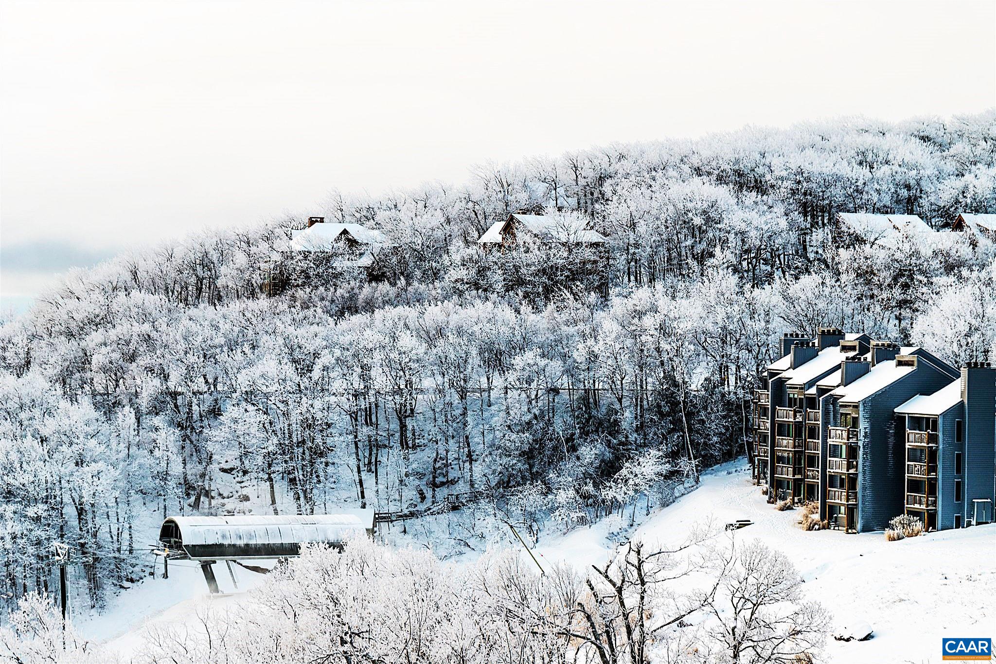 1641 OVERLOOK CONDOS, WINTERGREEN, Virginia 22967, 2 Bedrooms Bedrooms, ,2 BathroomsBathrooms,Residential,1641 OVERLOOK CONDOS,678390 MLS # 678390 1641 OVERLOOK CONDOS, WINTERGREEN, Virginia 22967, 2 Bedrooms Bedrooms, ,2 BathroomsBathrooms,Residential,1641 OVERLOOK CONDOS,678390 MLS # 678390