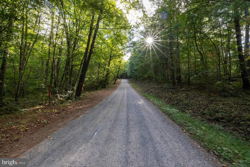 HOLIDAY HILL RD., LURAY, Virginia 22835, ,Land,HOLIDAY HILL RD.,VAPA2006548 MLS # VAPA2006548