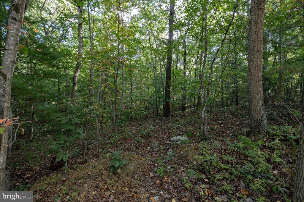HOLIDAY HILL RD., LURAY, Virginia 22835, ,Land,HOLIDAY HILL RD.,VAPA2006548 MLS # VAPA2006548