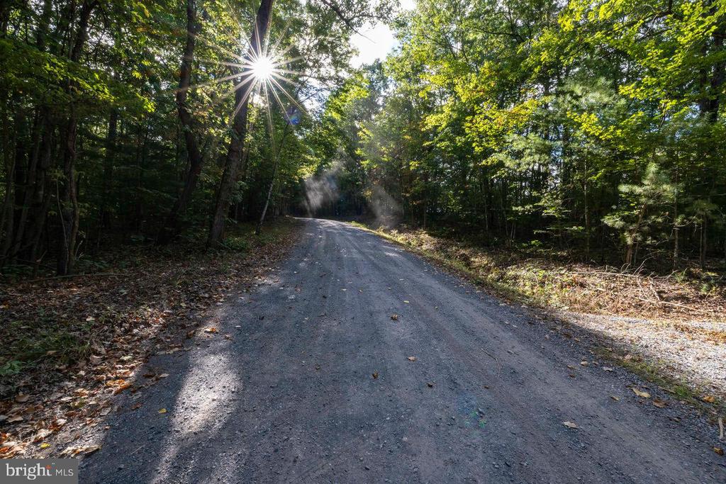 HOLIDAY HILL RD., LURAY, Virginia 22835, ,Land,HOLIDAY HILL RD.,VAPA2006548 MLS # VAPA2006548