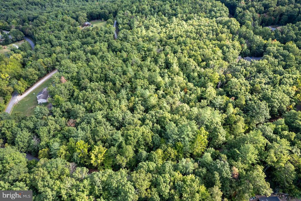 HOLIDAY HILL RD., LURAY, Virginia 22835, ,Land,HOLIDAY HILL RD.,VAPA2006548 MLS # VAPA2006548