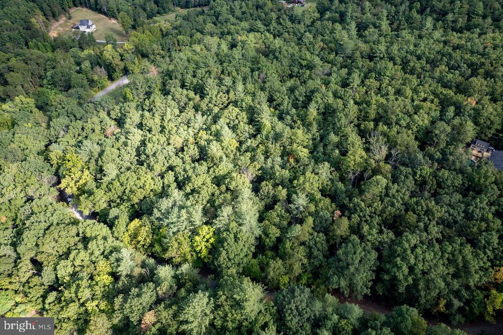 HOLIDAY HILL RD., LURAY, Virginia 22835, ,Land,HOLIDAY HILL RD.,VAPA2006548 MLS # VAPA2006548
